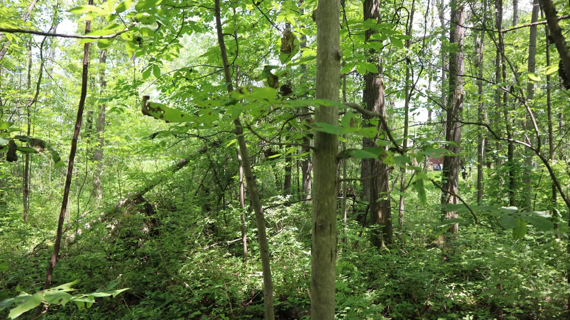 Property at 0 Sacandaga Road, Glenville, NY 12302 19