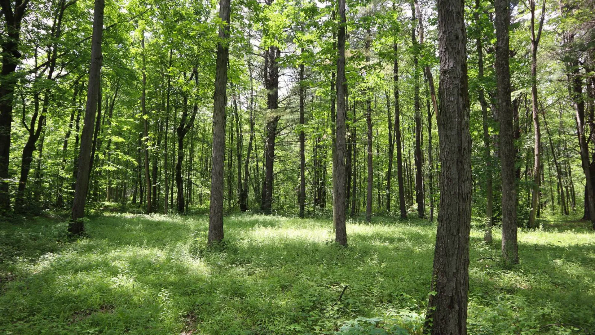 Property at 0 Sacandaga Road, Glenville, NY 12302 2