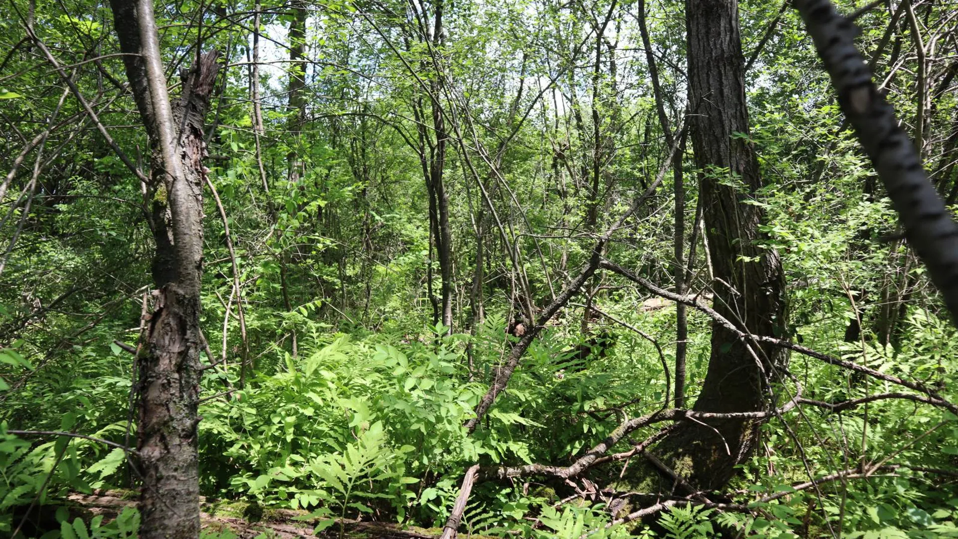 Property at 0 Sacandaga Road, Glenville, NY 12302 20