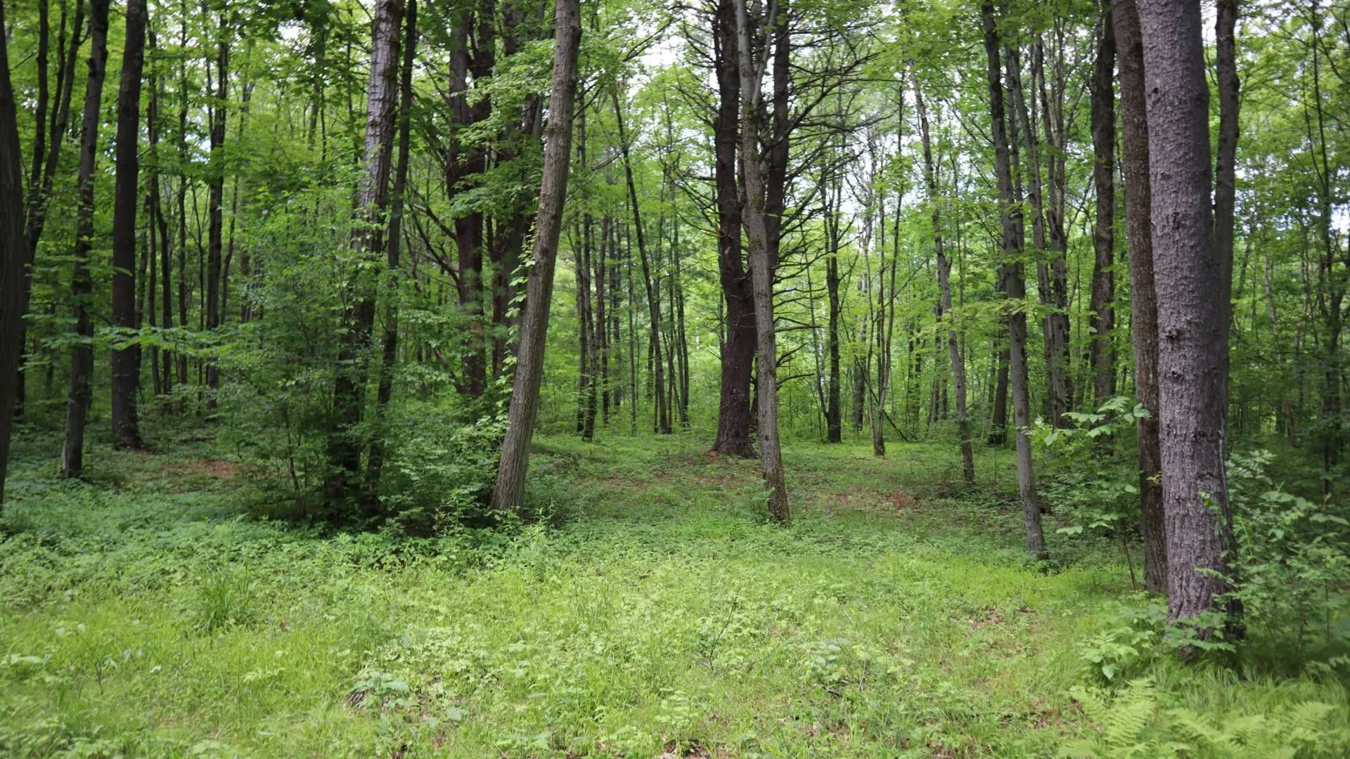 Property at 0 Sacandaga Road, Glenville, NY 12302 22