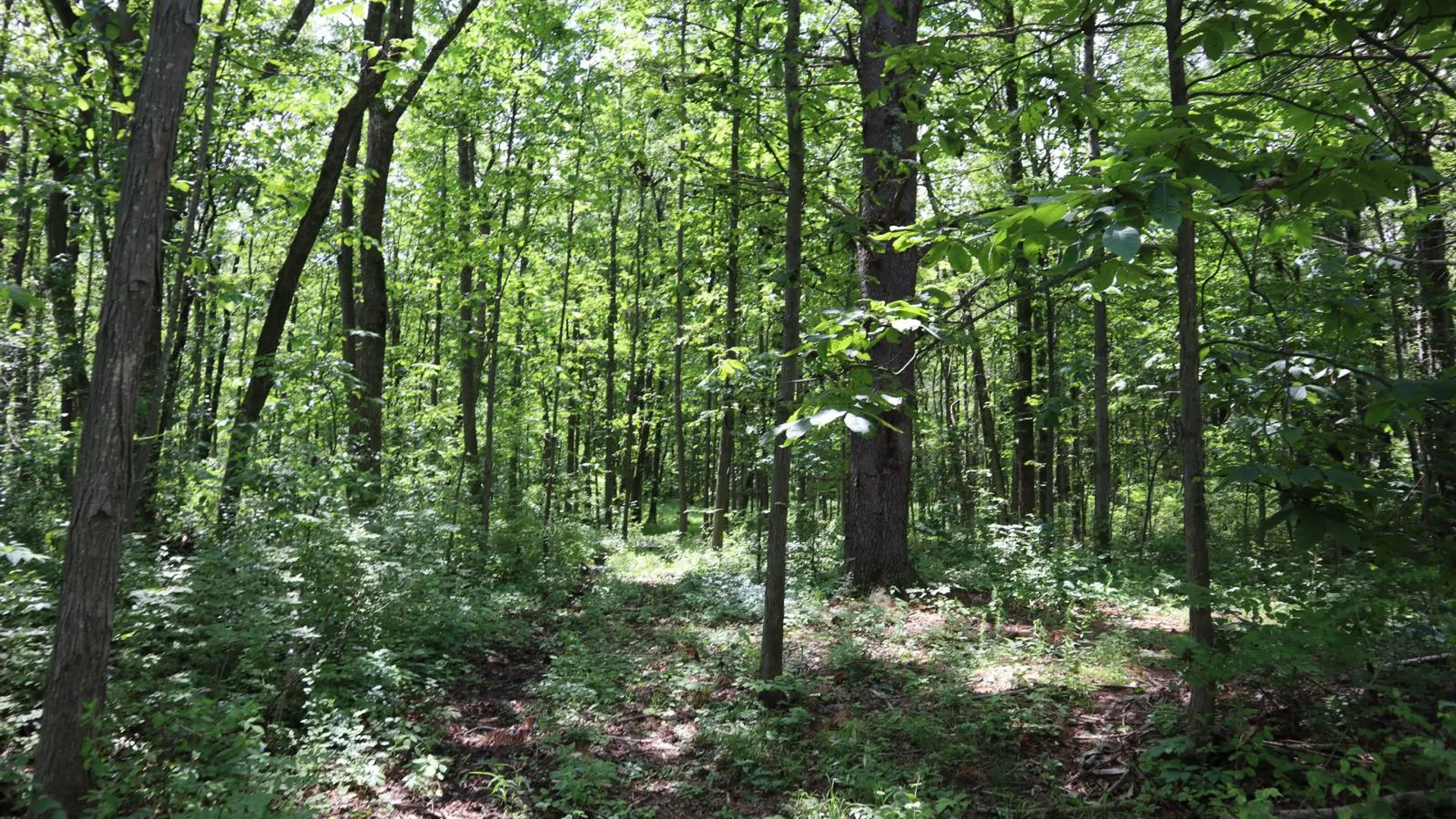 Property at 0 Sacandaga Road, Glenville, NY 12302 7