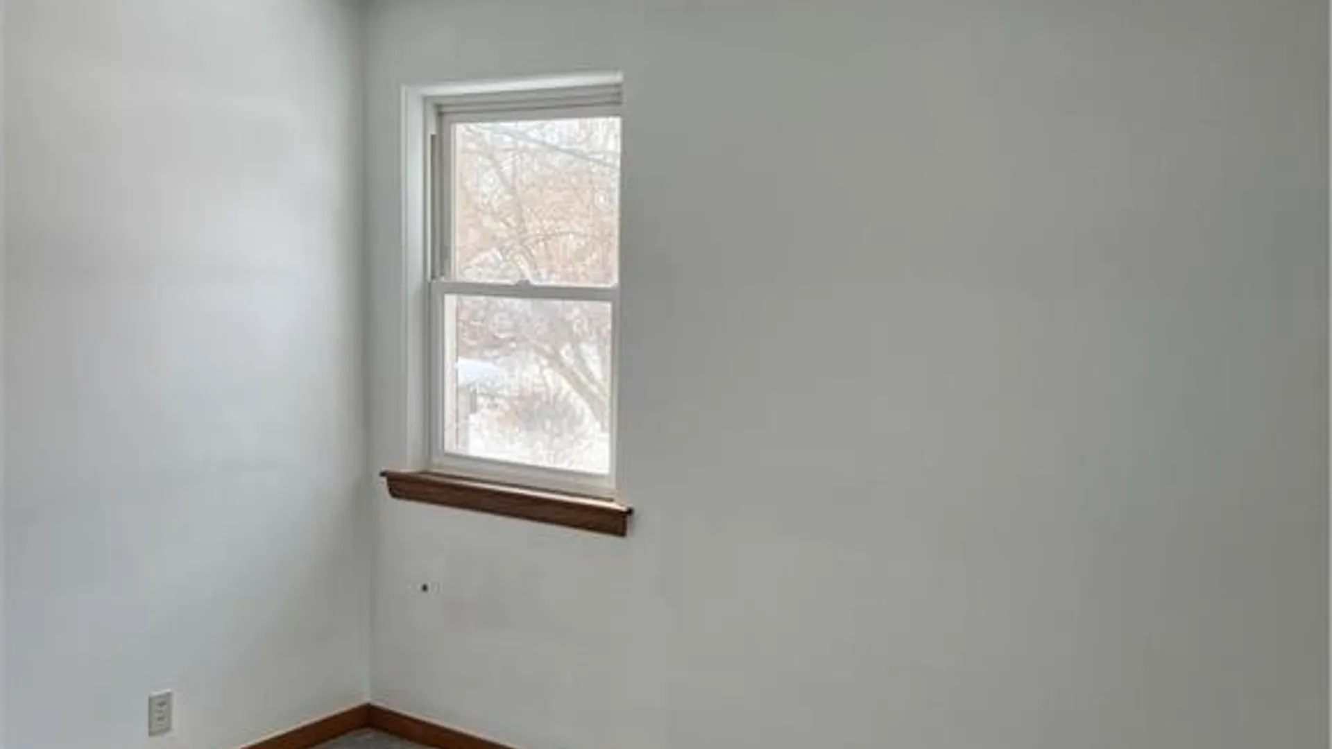 Property at 49 Youngs Road, Amherst, NY 14221 19