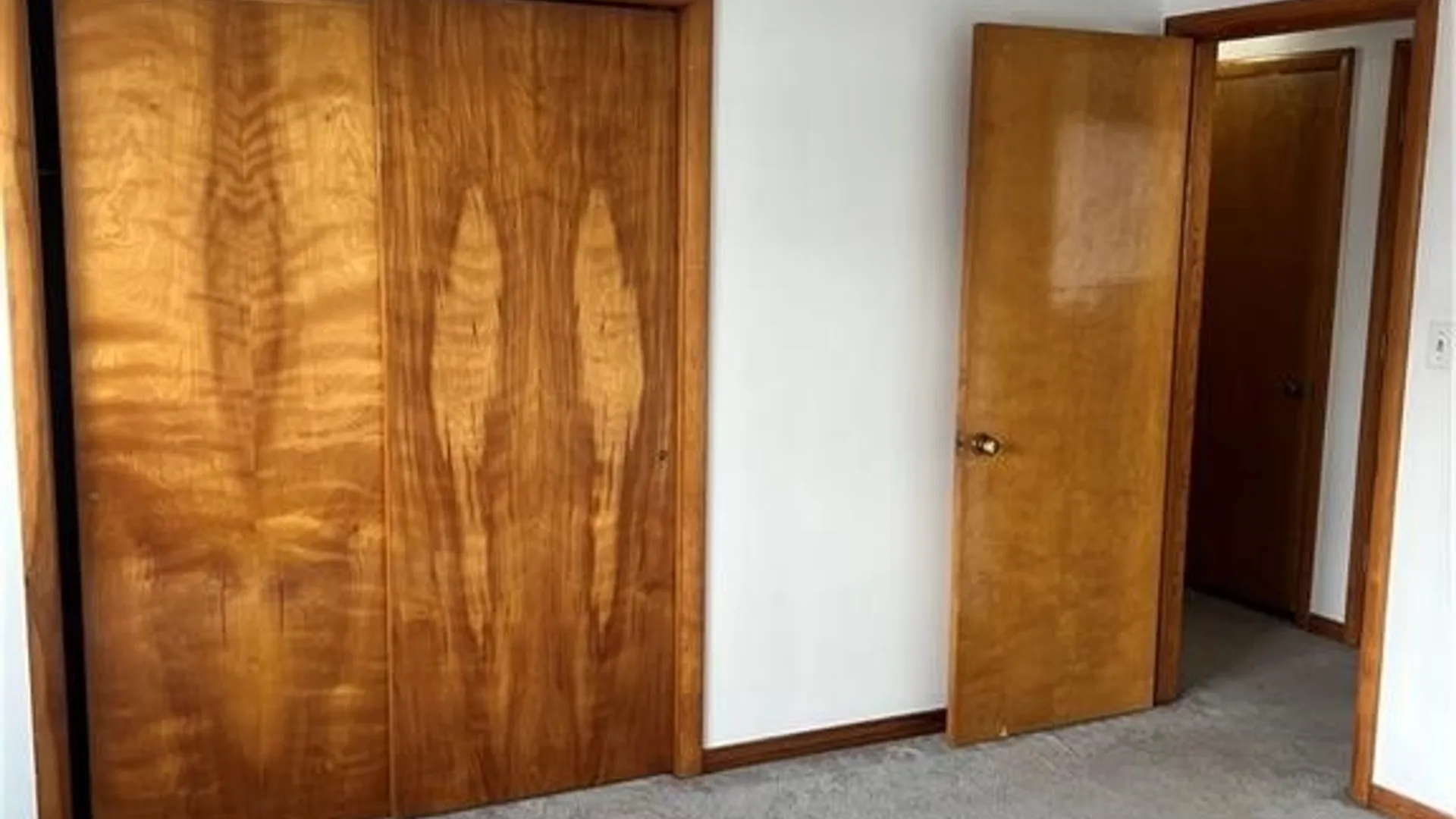 Property at 49 Youngs Road, Amherst, NY 14221 21