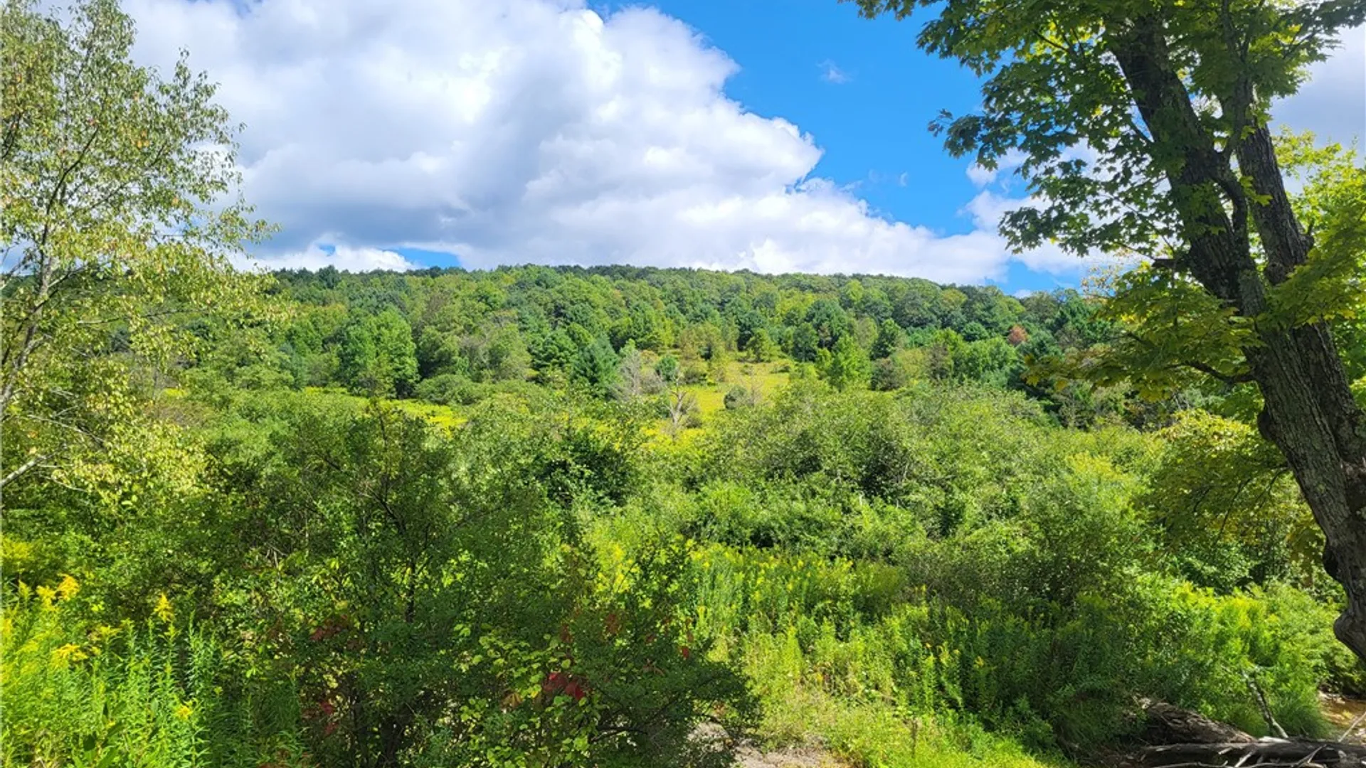 Property at 0 County Road 15, New Lisbon, NY 13810 27