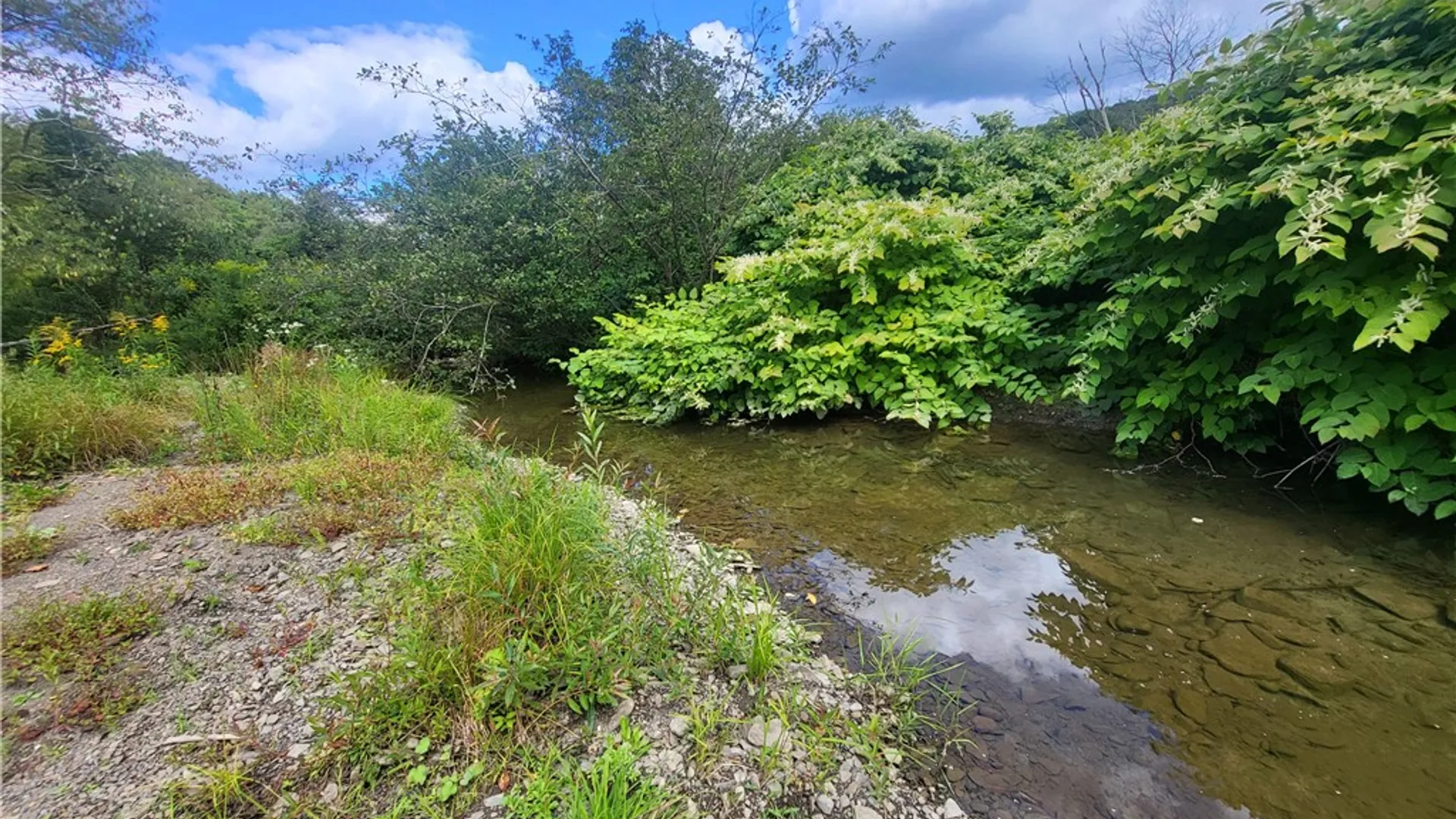 Property at 0 County Road 15, New Lisbon, NY 13810 33