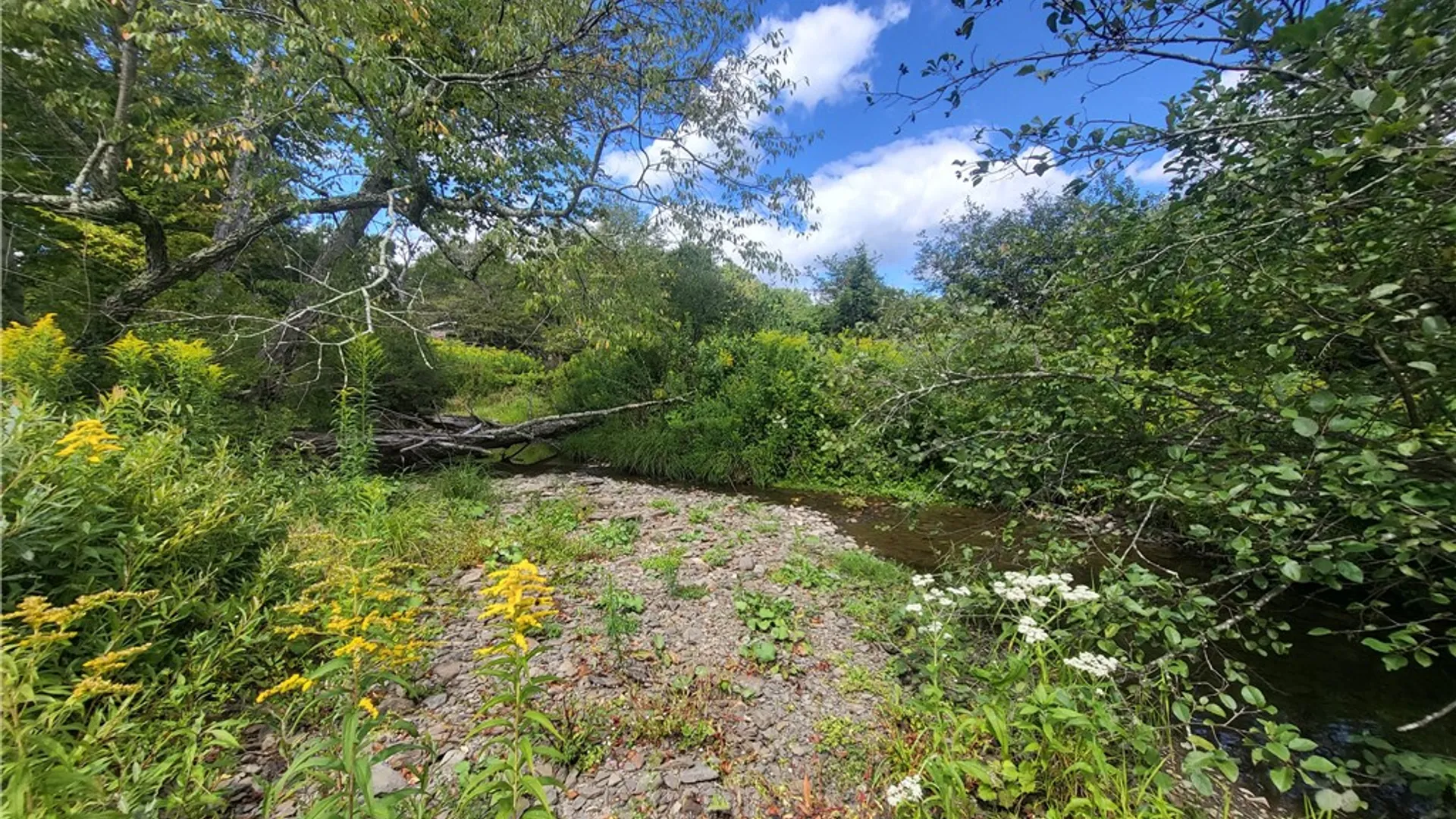 Property at 0 County Road 15, New Lisbon, NY 13810 34