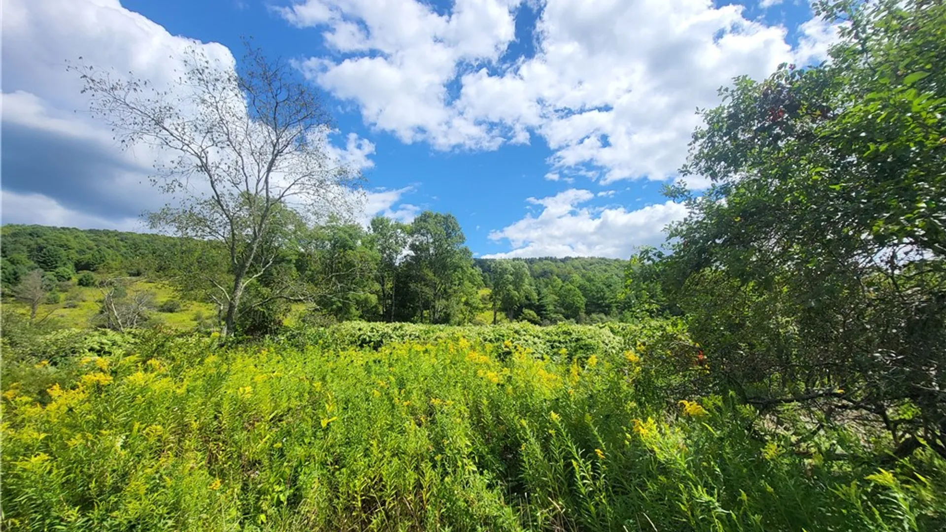 Property at 0 County Road 15, New Lisbon, NY 13810 37
