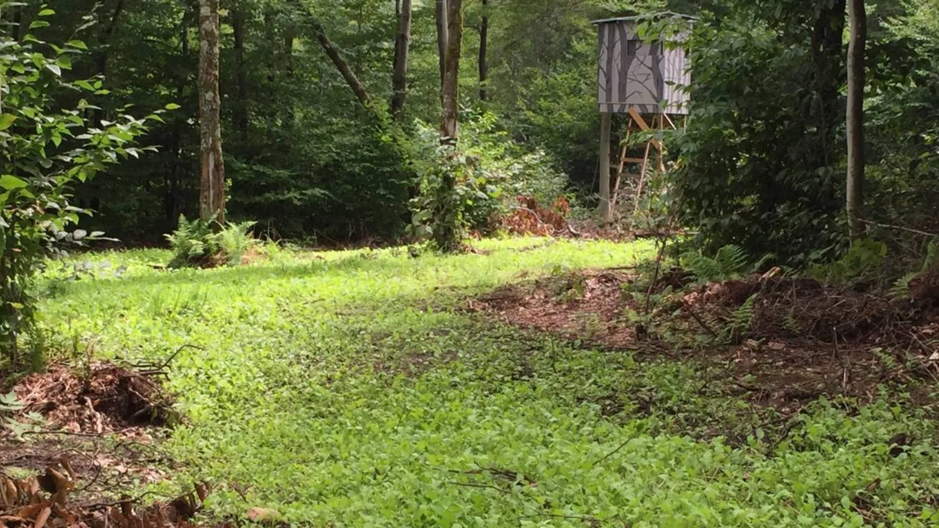 Property at 758 State Route 8 Rd, Hoffmeister, NY 13353 10