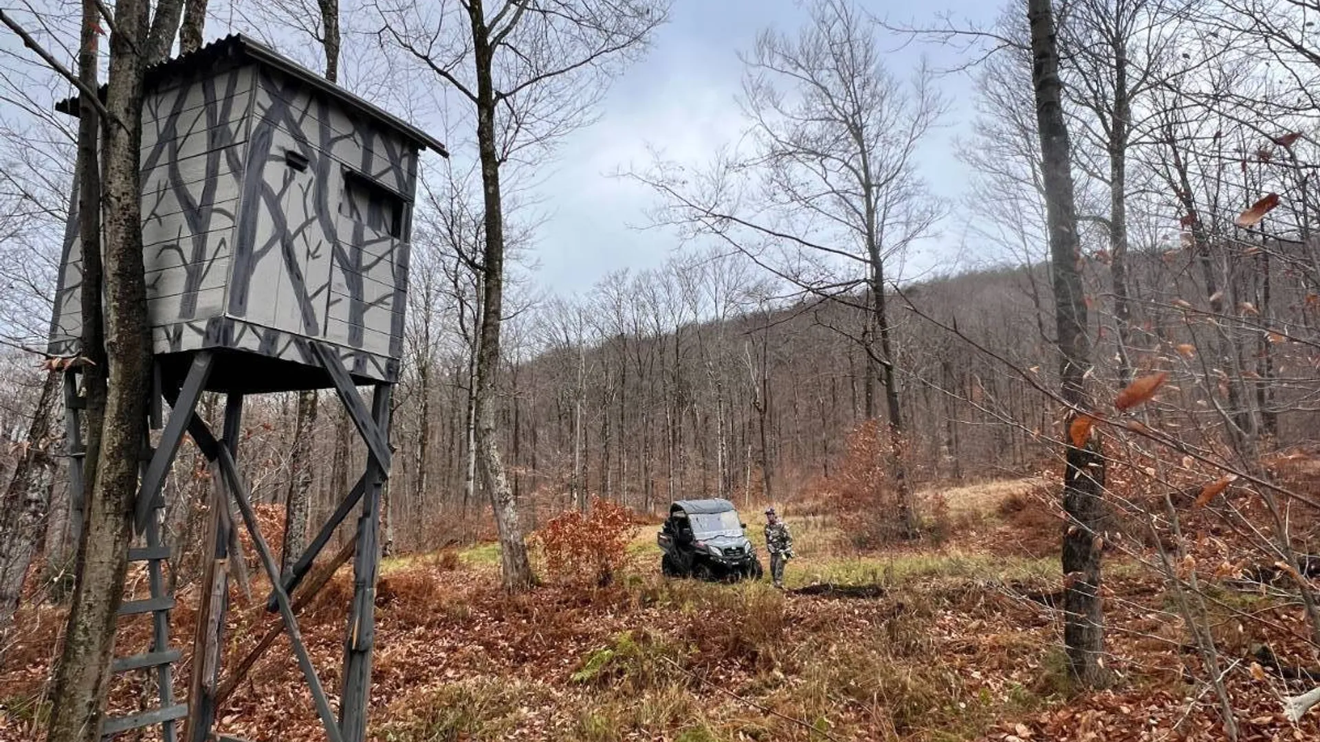 Property at 758 State Route 8 Rd, Hoffmeister, NY 13353 12