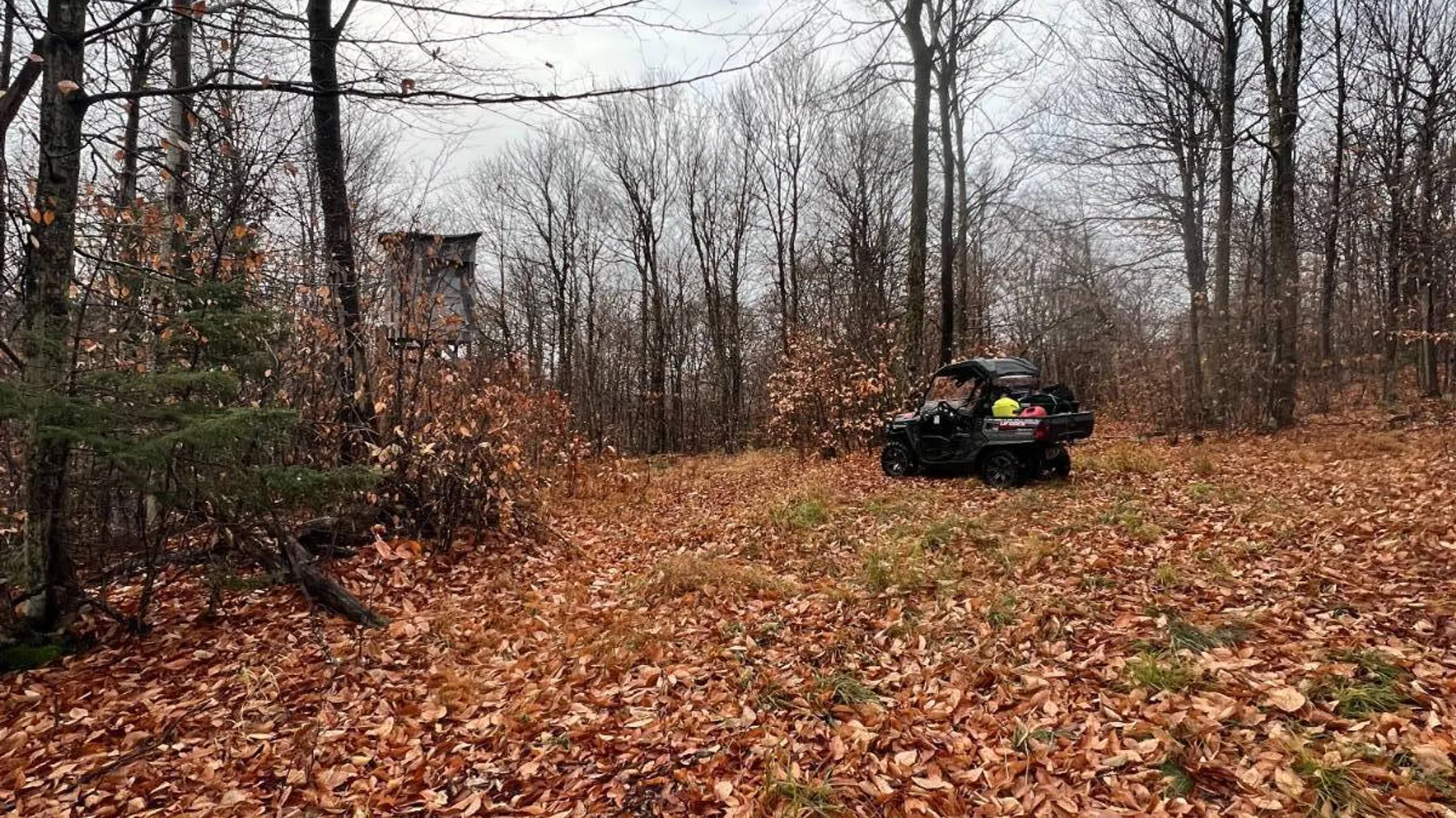 Property at 758 State Route 8 Rd, Hoffmeister, NY 13353 16