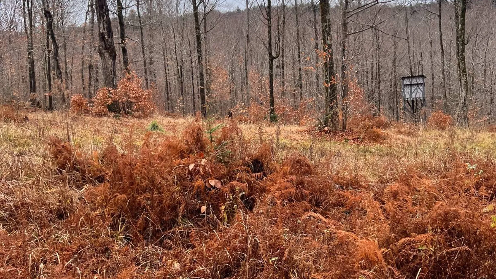 Property at 758 State Route 8 Rd, Hoffmeister, NY 13353 17