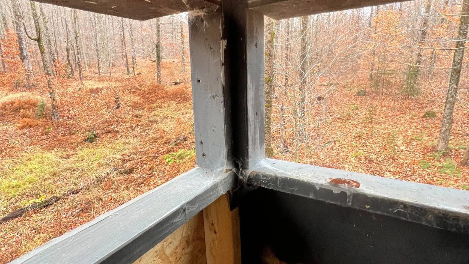 Property at 758 State Route 8 Rd, Hoffmeister, NY 13353 21