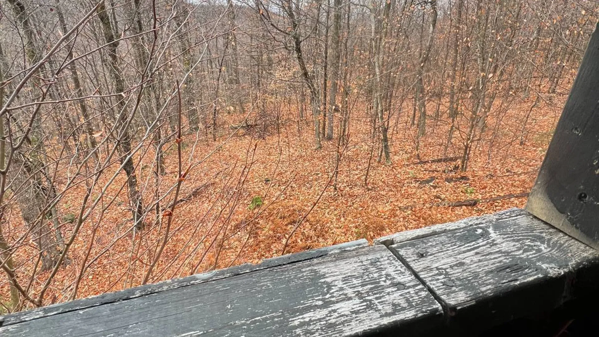 Property at 758 State Route 8 Rd, Hoffmeister, NY 13353 23