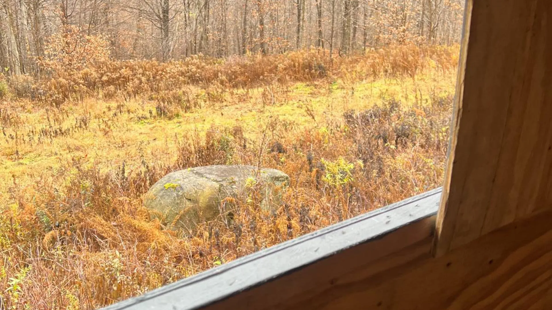 Property at 758 State Route 8 Rd, Hoffmeister, NY 13353 25