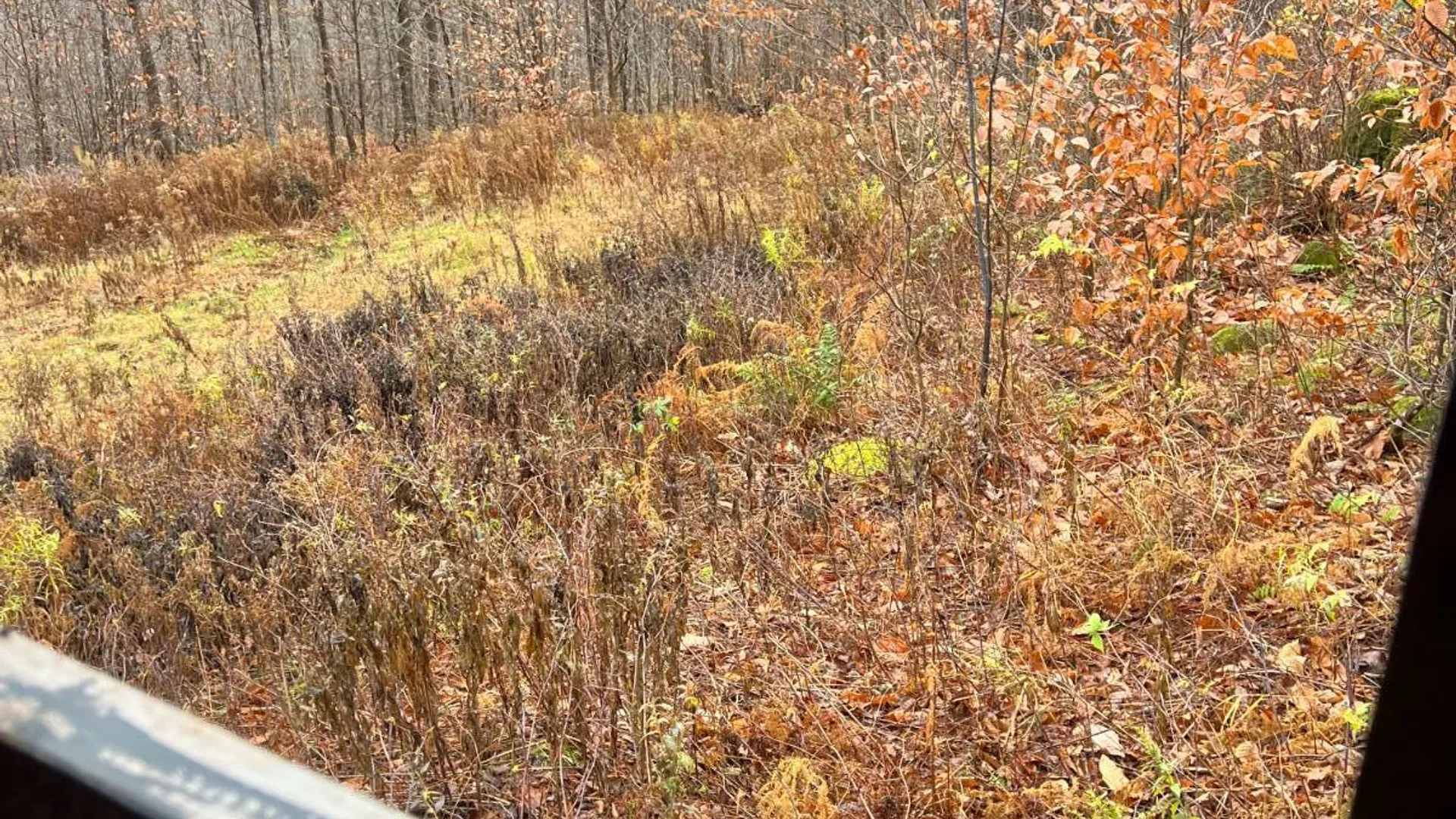 Property at 758 State Route 8 Rd, Hoffmeister, NY 13353 28