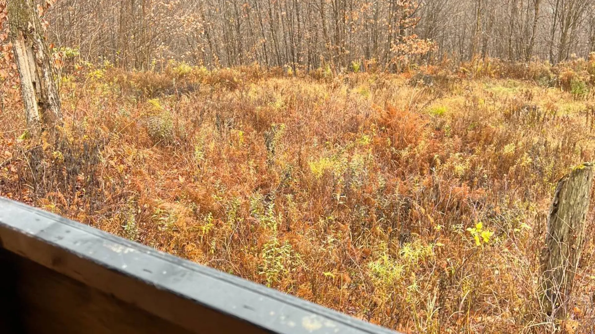 Property at 758 State Route 8 Rd, Hoffmeister, NY 13353 30