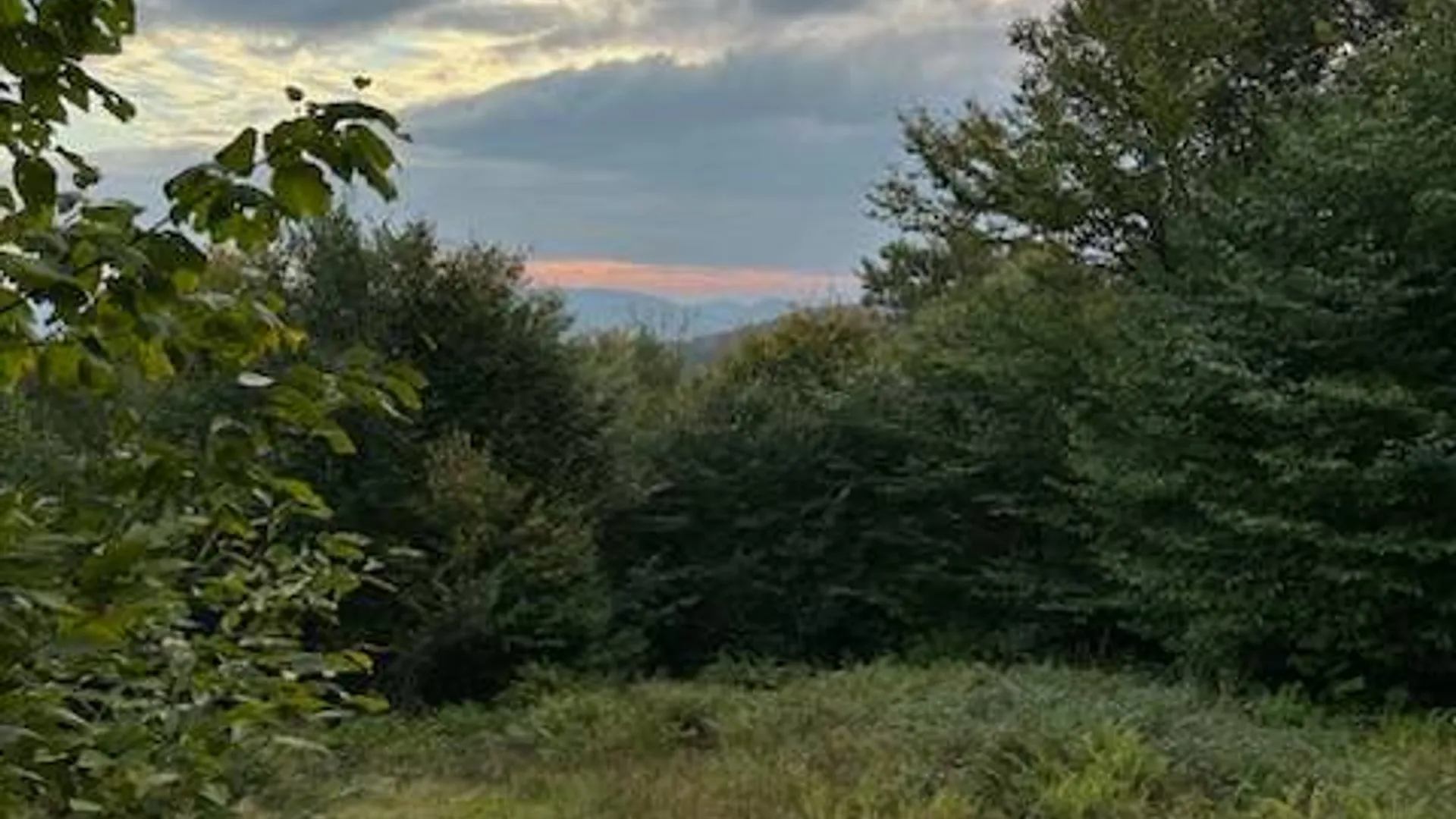 Property at 758 State Route 8 Rd, Hoffmeister, NY 13353 4