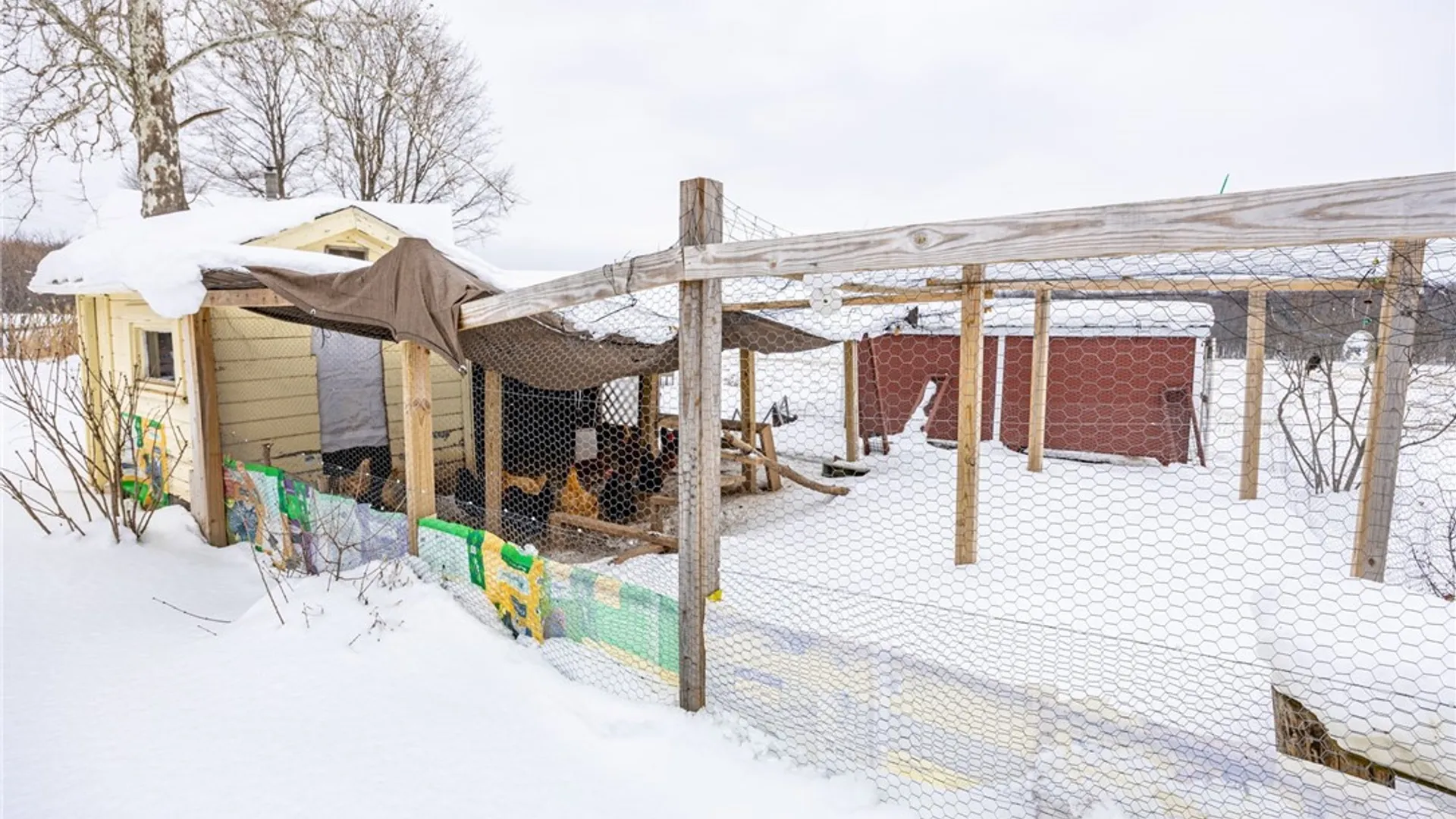 Property at 3200 State Route 14, Lyons, NY 14489 39