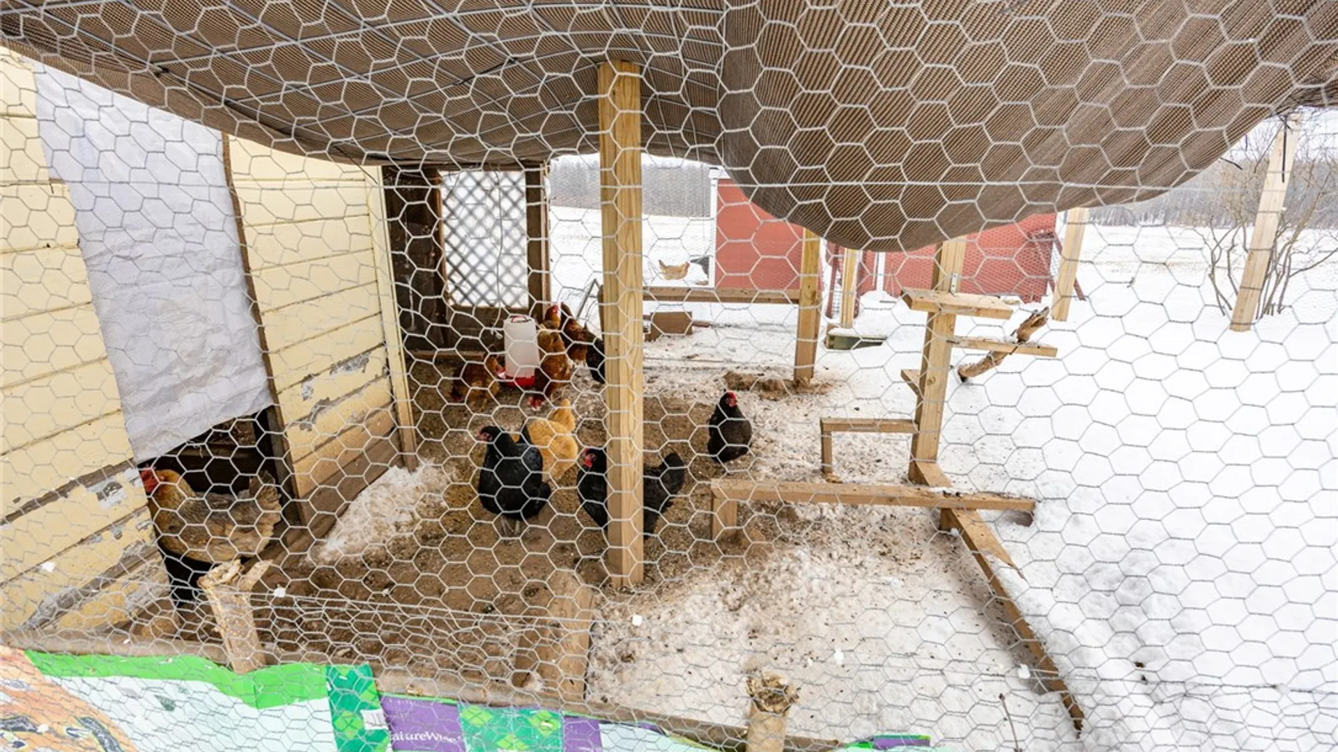 Property at 3200 State Route 14, Lyons, NY 14489 40