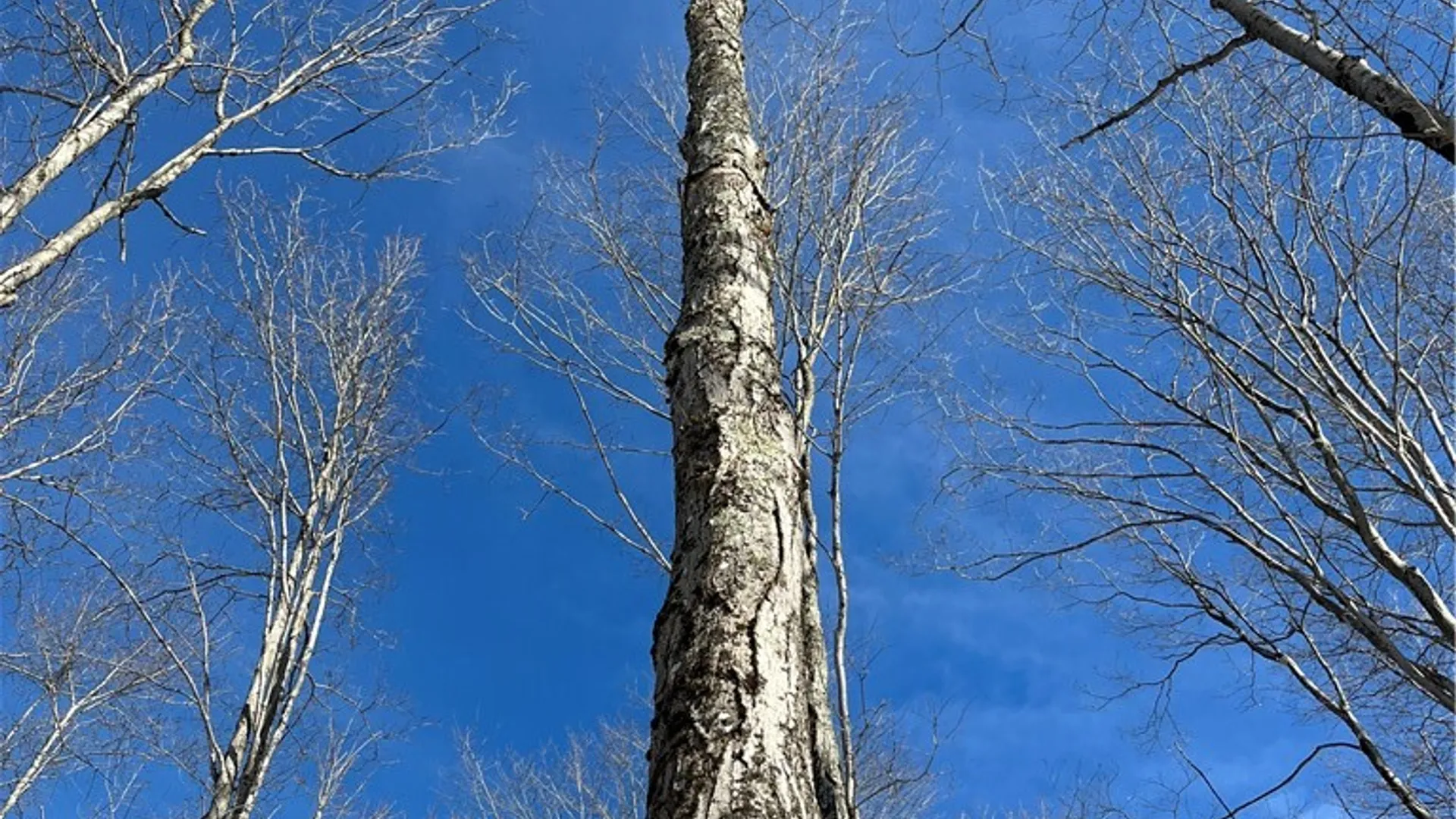 Property at Mereness Road, Decatur, NY 12197 10