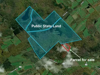 Mereness Road, Decatur, NY 12197