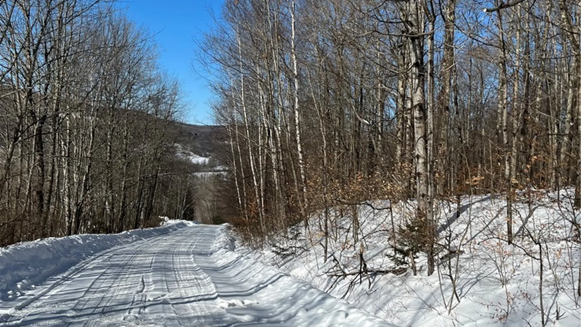 Property at Mereness Road, Decatur, NY 12197 4