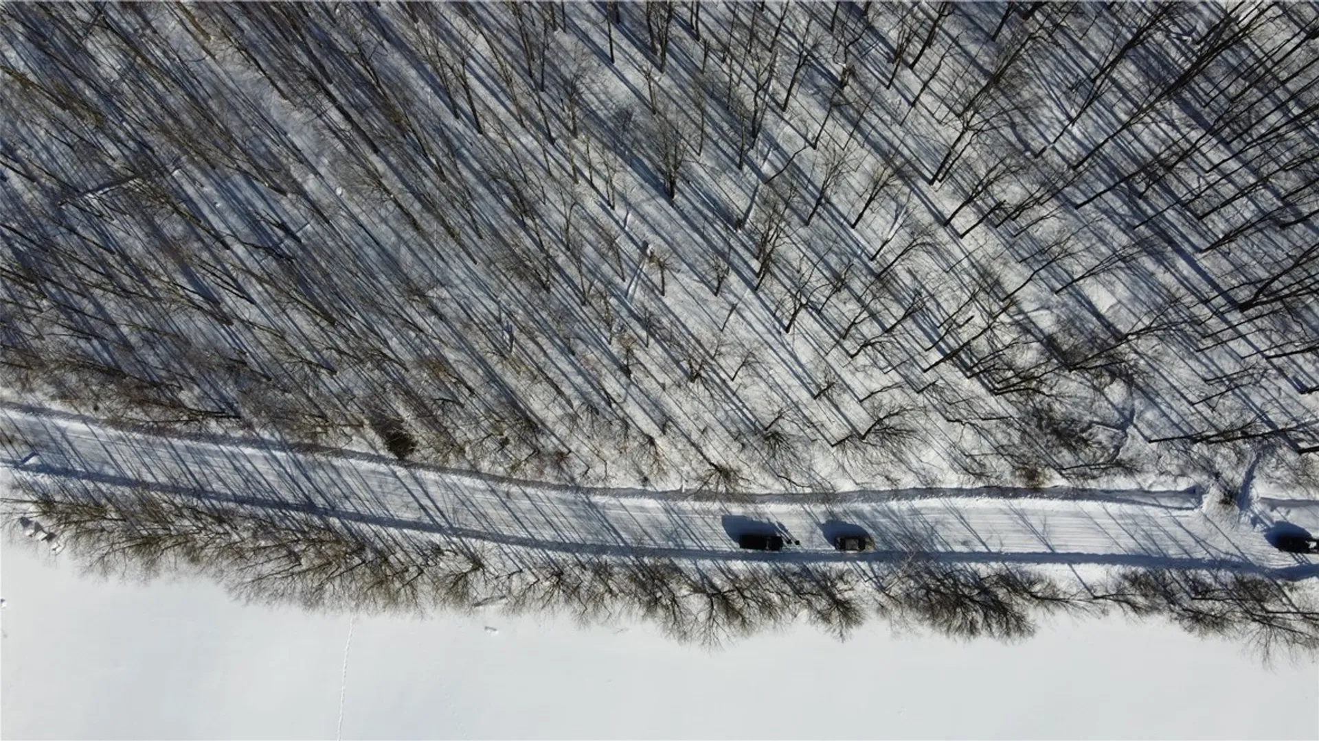 Property at Mereness Road, Decatur, NY 12197 5