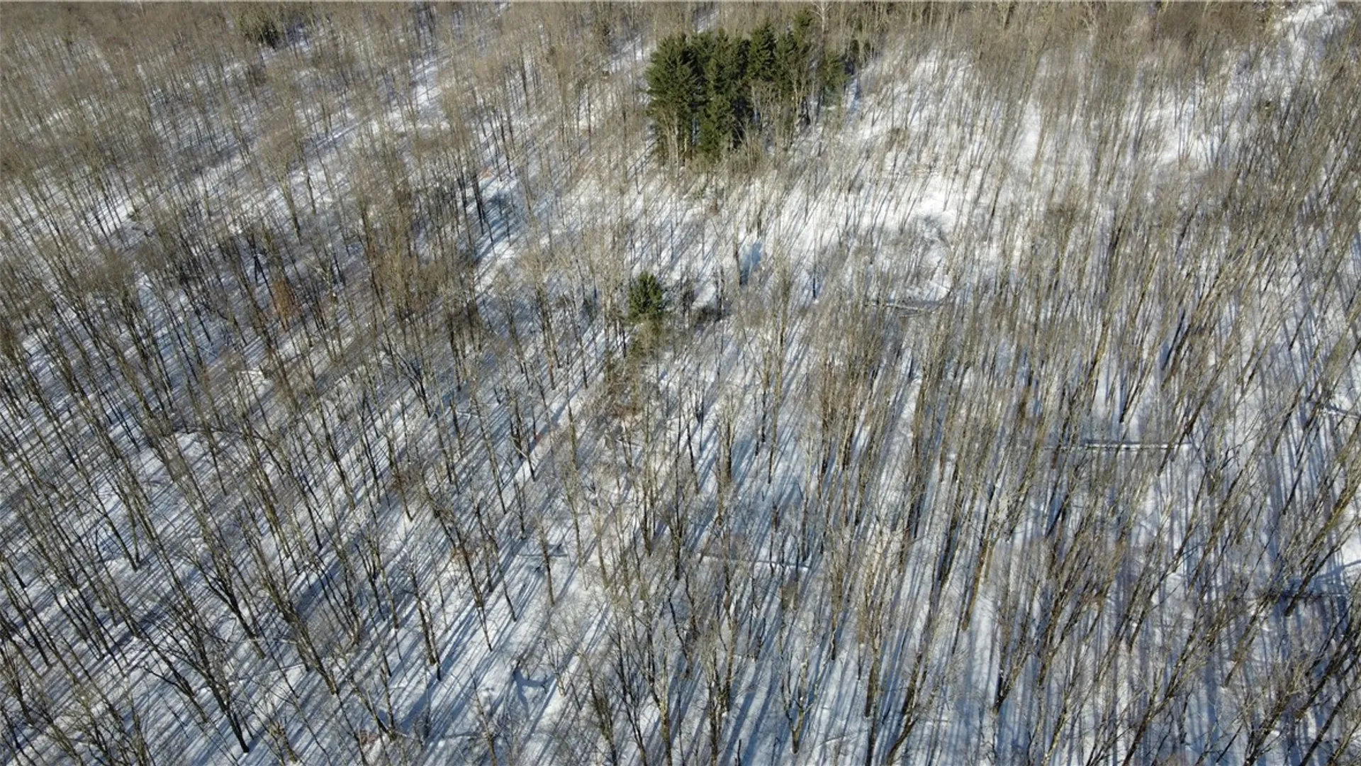 Property at Mereness Road, Decatur, NY 12197 6