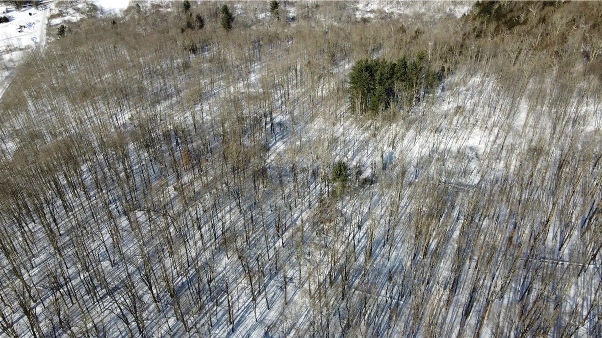 Property at Mereness Road, Decatur, NY 12197 7