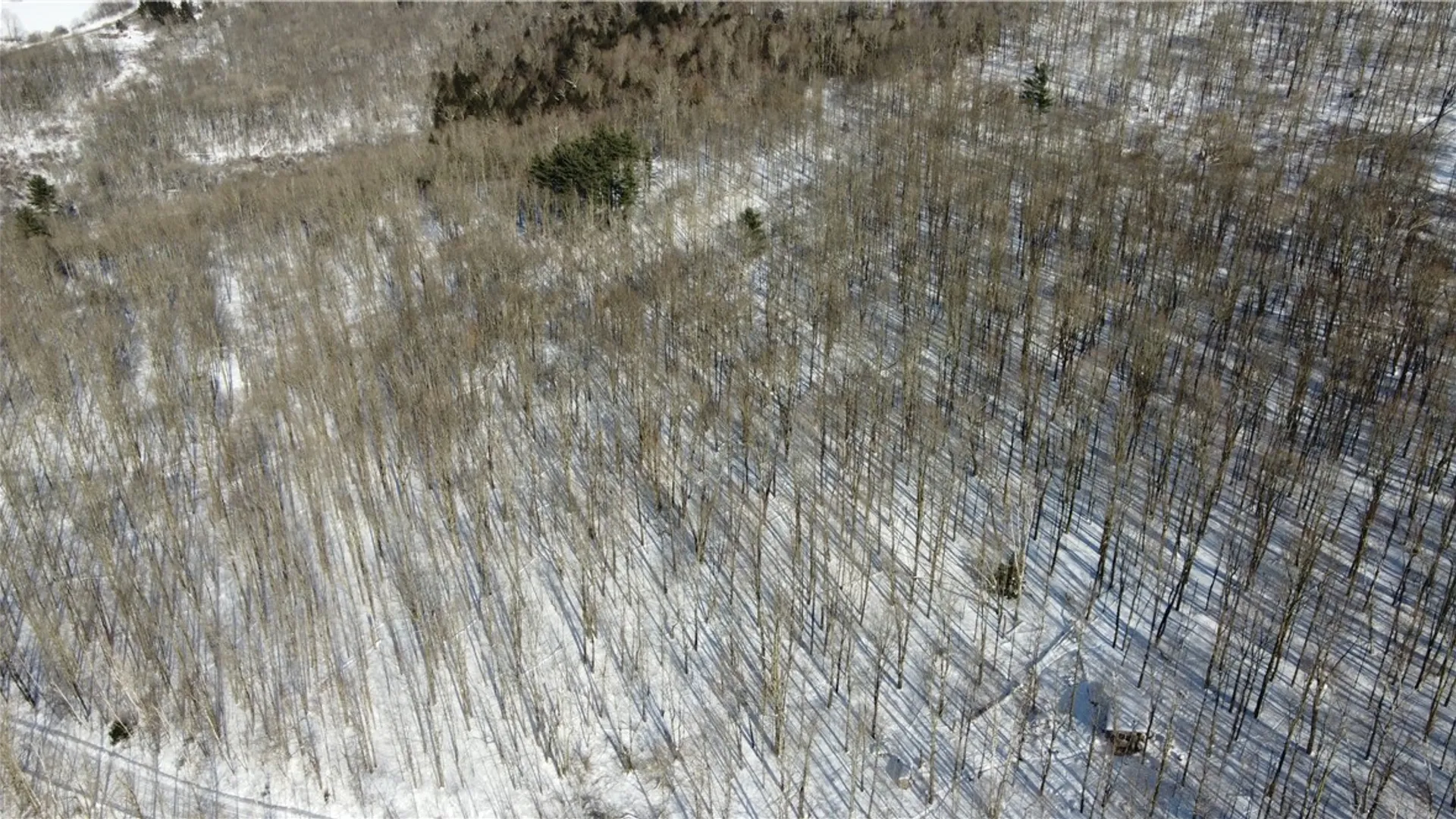 Property at Mereness Road, Decatur, NY 12197 8