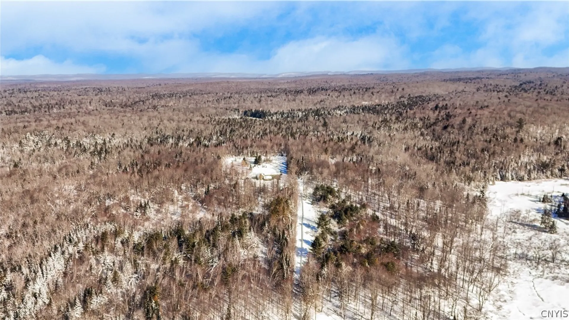 Property at 225 Amberg Road, Ohio, NY 13324 48