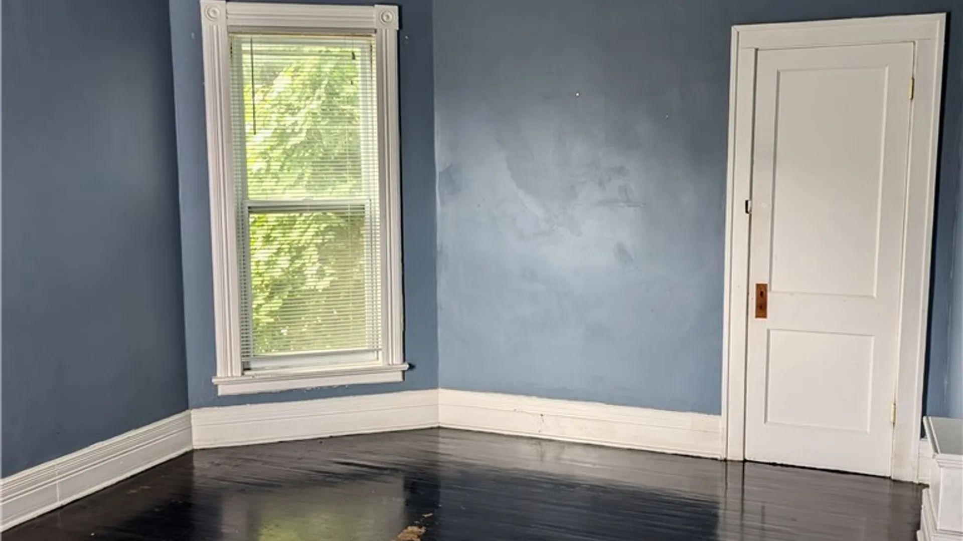 Property at 1366 Michigan Ave Avenue, Buffalo, NY 14209 16
