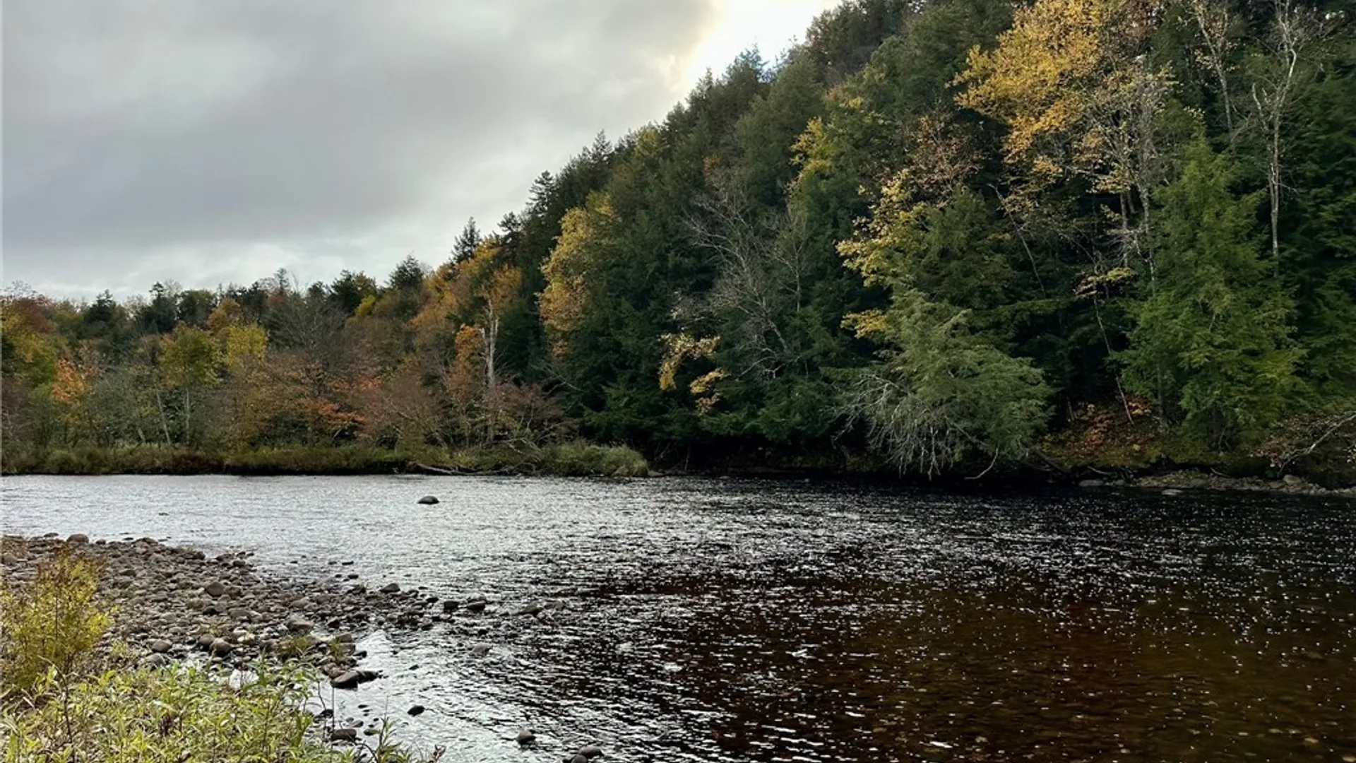 Property at 156 Coleman Road, Ohio, NY 13324 45