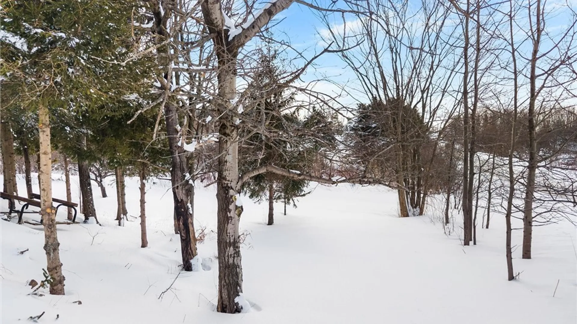 Property at 5306 Buyea Road, Fenner, NY 13035 26