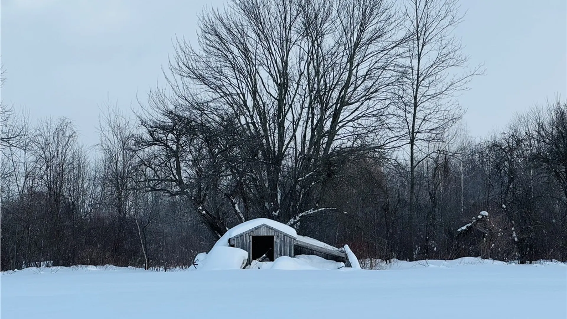 Property at 1024 Sixty Six Road, Hannibal, NY 13074 6