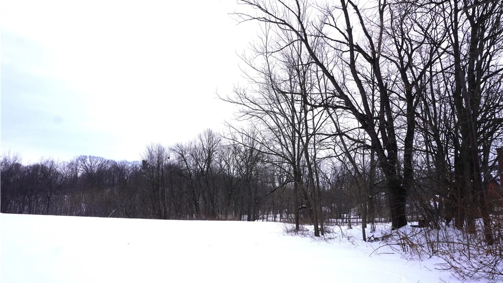 Property at 1664 Brown Street, Benton, NY 14415 7