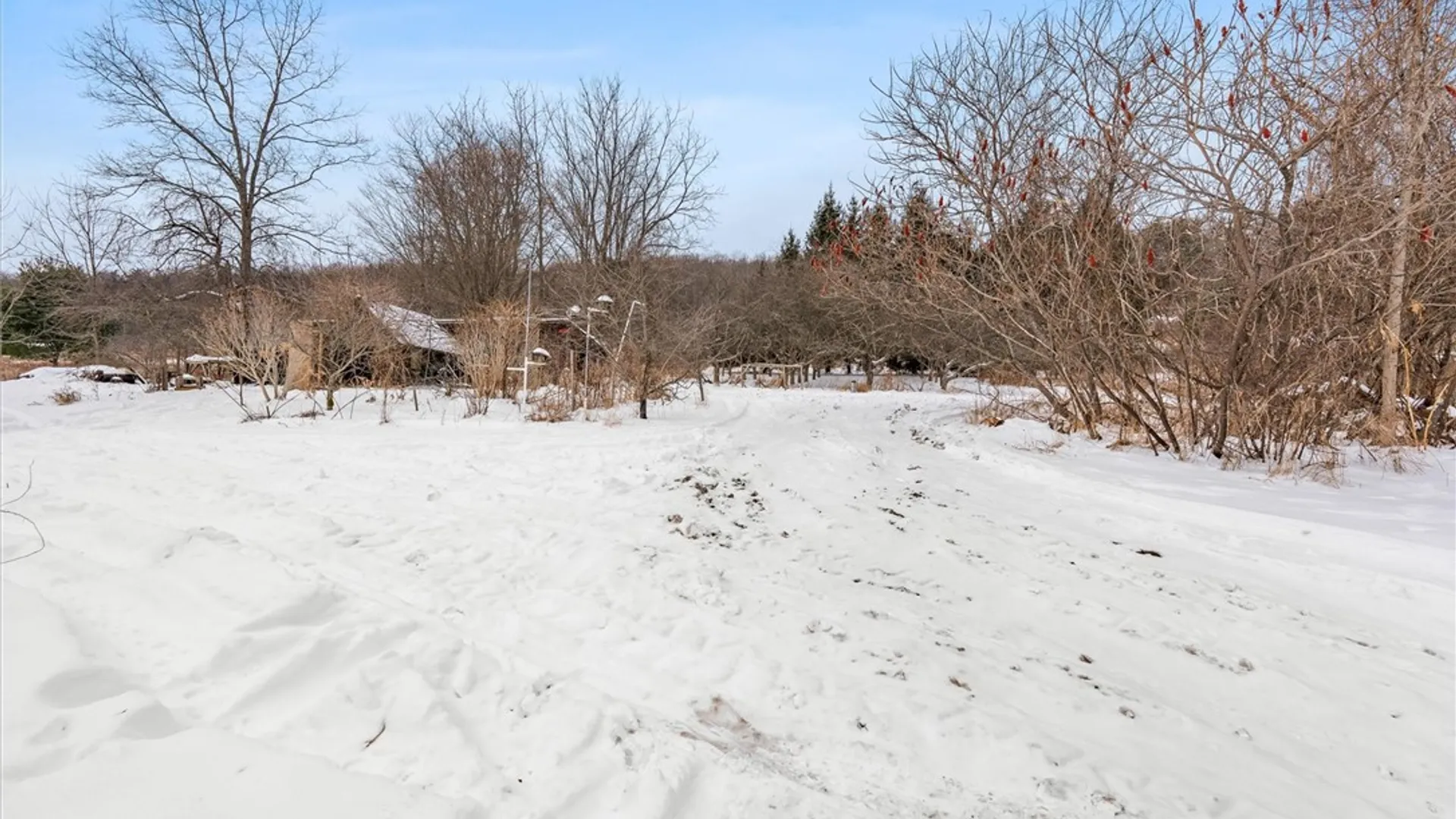 Property at 4409 State Route 228, Hector, NY 14805 35