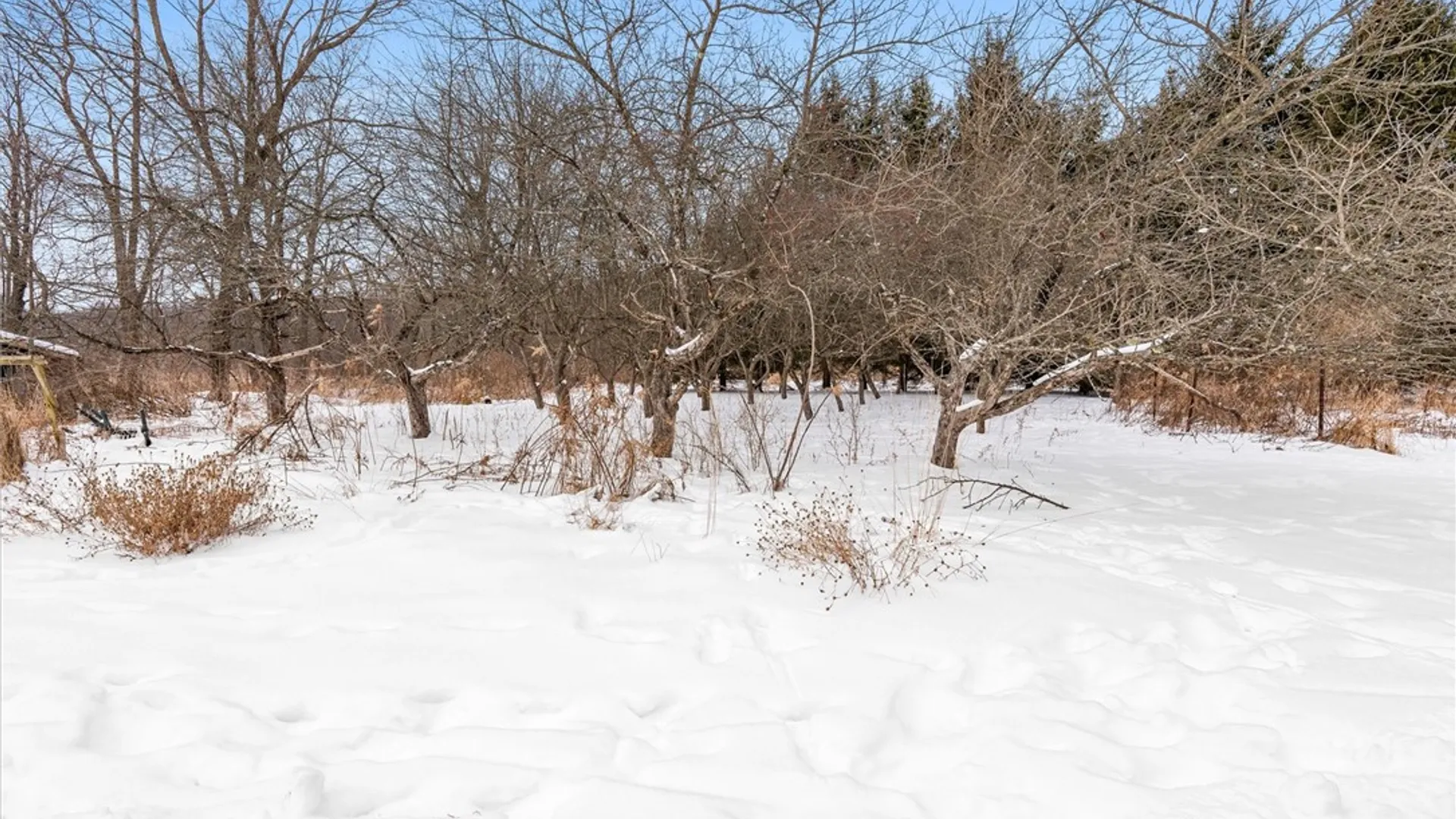 Property at 4409 State Route 228, Hector, NY 14805 41