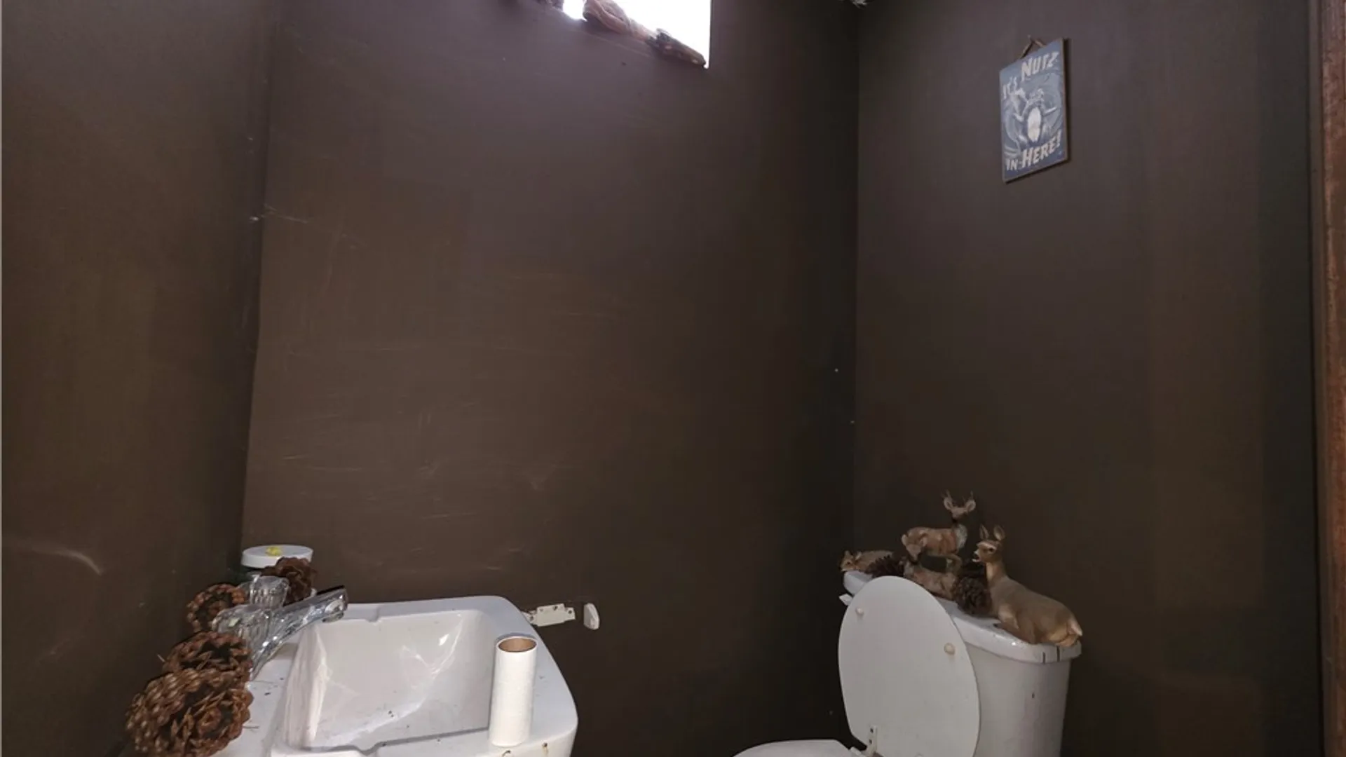 Property at 8486 Saunders Road, Caneadea, NY 14711 26