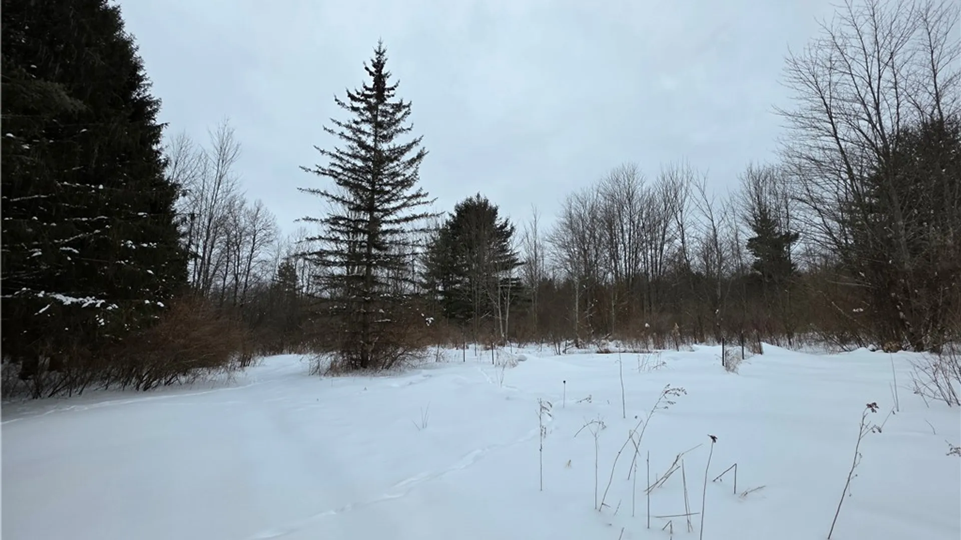 Property at 8486 Saunders Road, Caneadea, NY 14711 29