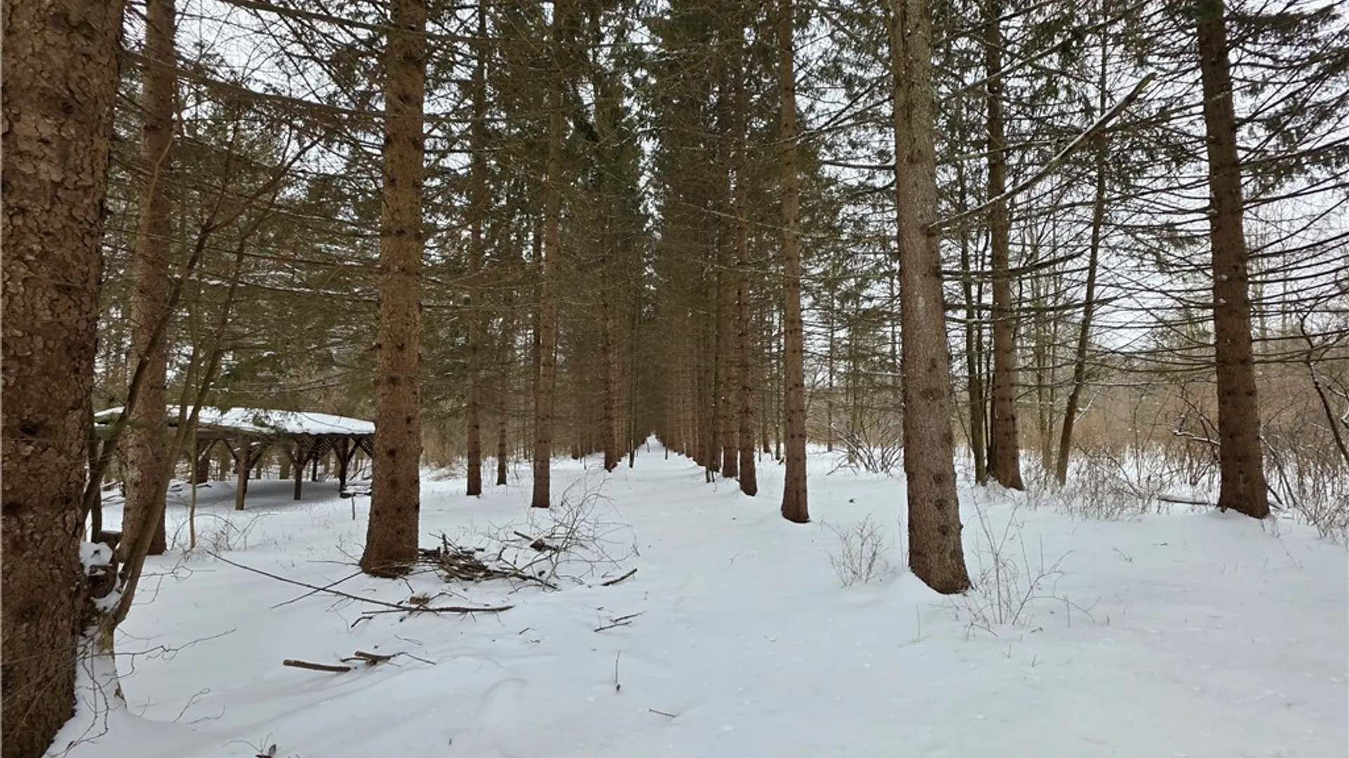 Property at 8486 Saunders Road, Caneadea, NY 14711 30