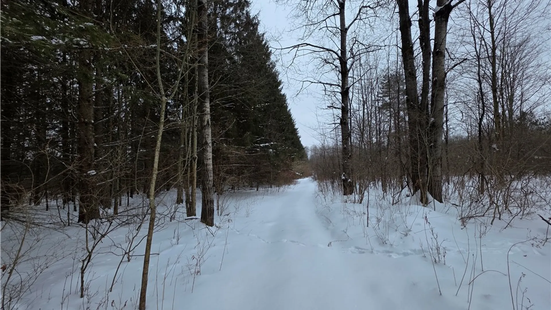 Property at 8486 Saunders Road, Caneadea, NY 14711 32