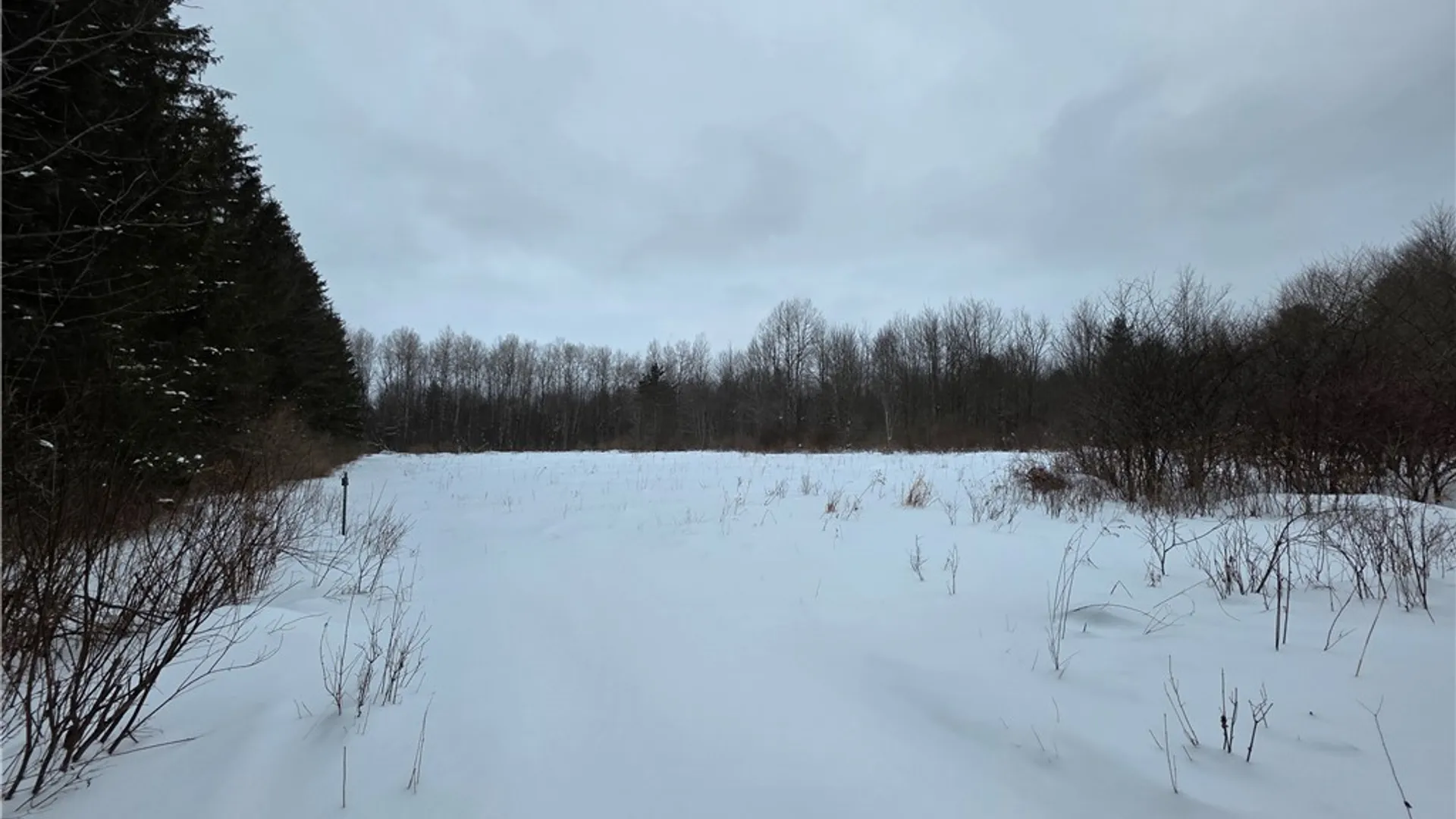 Property at 8486 Saunders Road, Caneadea, NY 14711 33