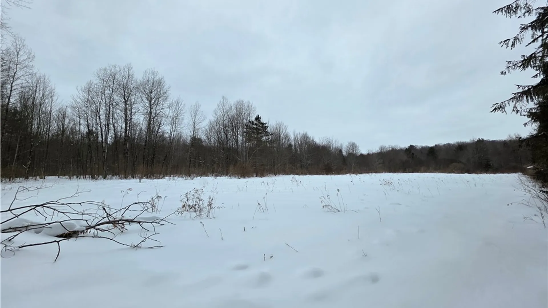 Property at 8486 Saunders Road, Caneadea, NY 14711 36