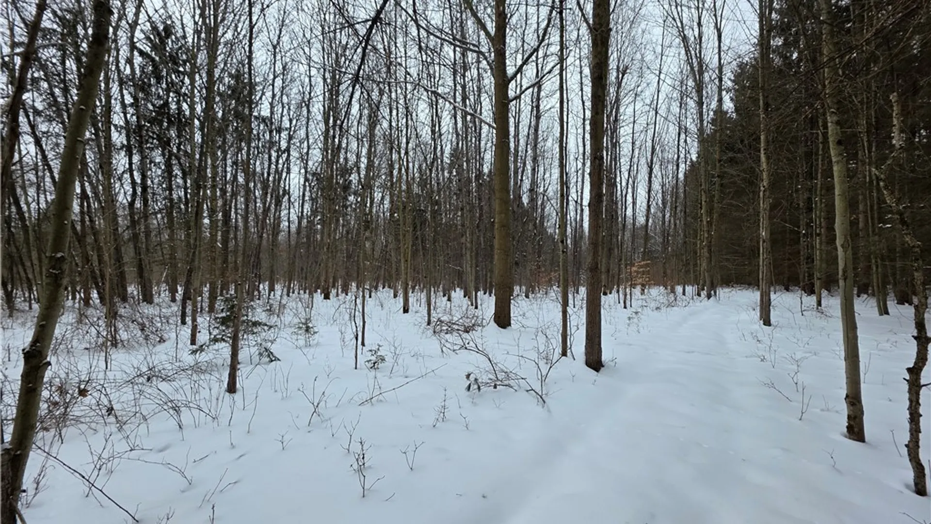 Property at 8486 Saunders Road, Caneadea, NY 14711 37