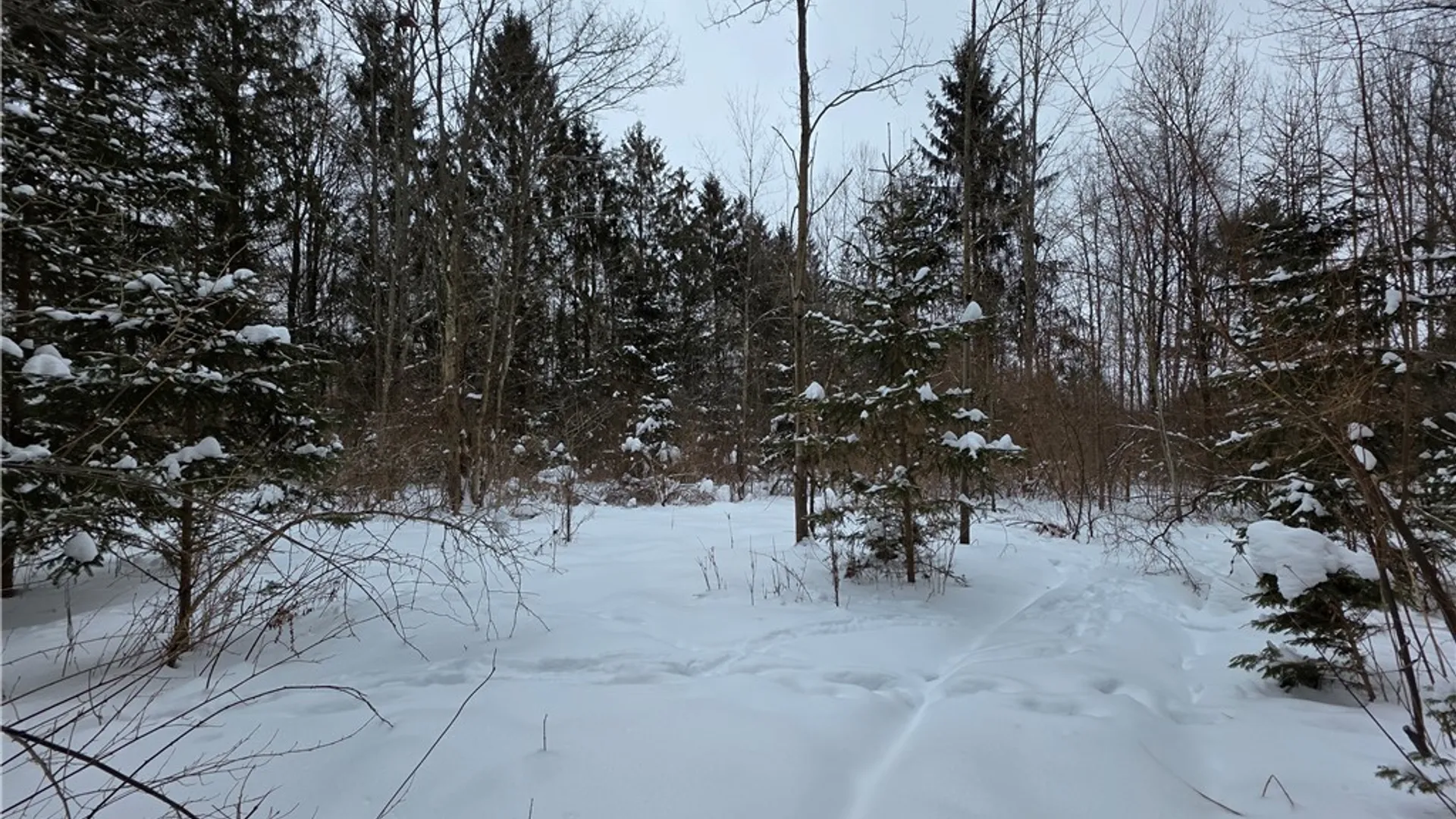 Property at 8486 Saunders Road, Caneadea, NY 14711 38