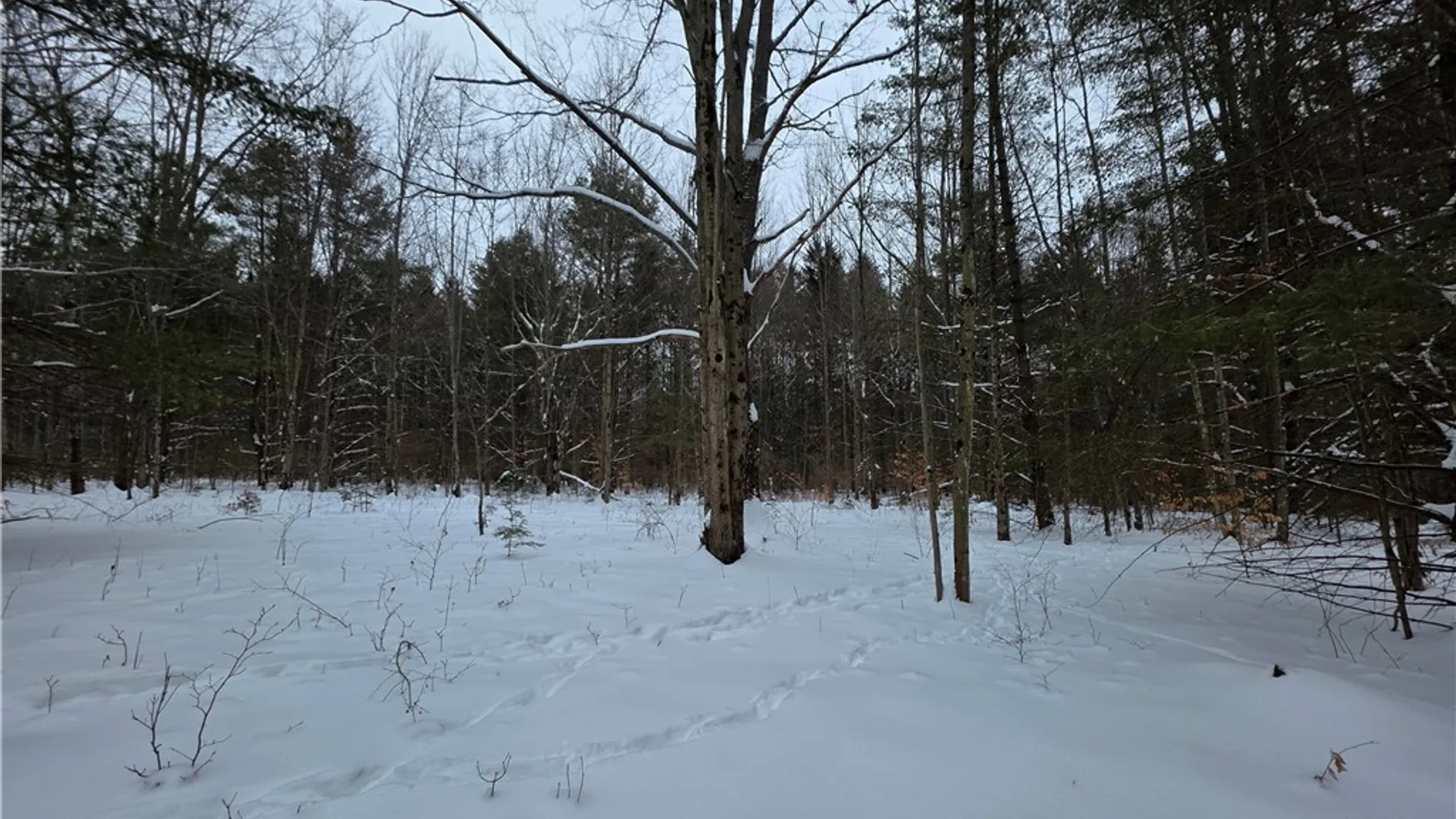 Property at 8486 Saunders Road, Caneadea, NY 14711 39