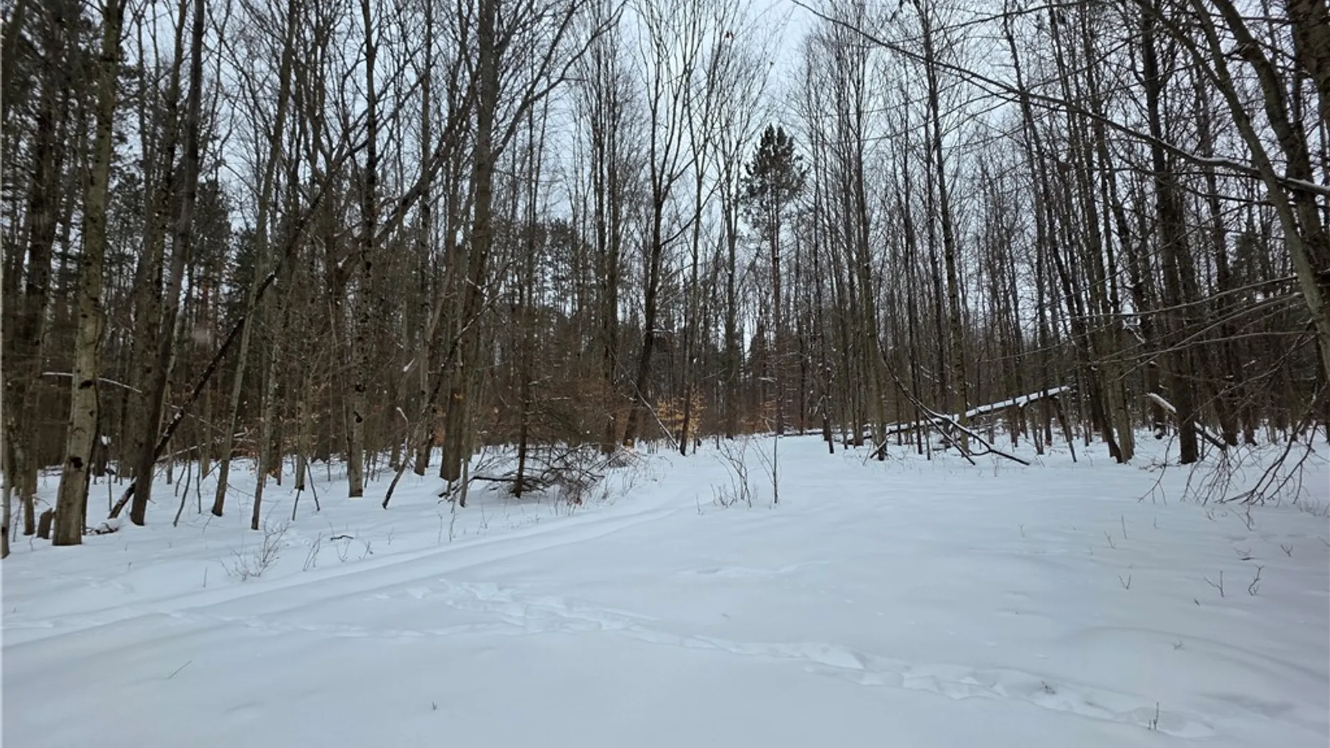 Property at 8486 Saunders Road, Caneadea, NY 14711 40