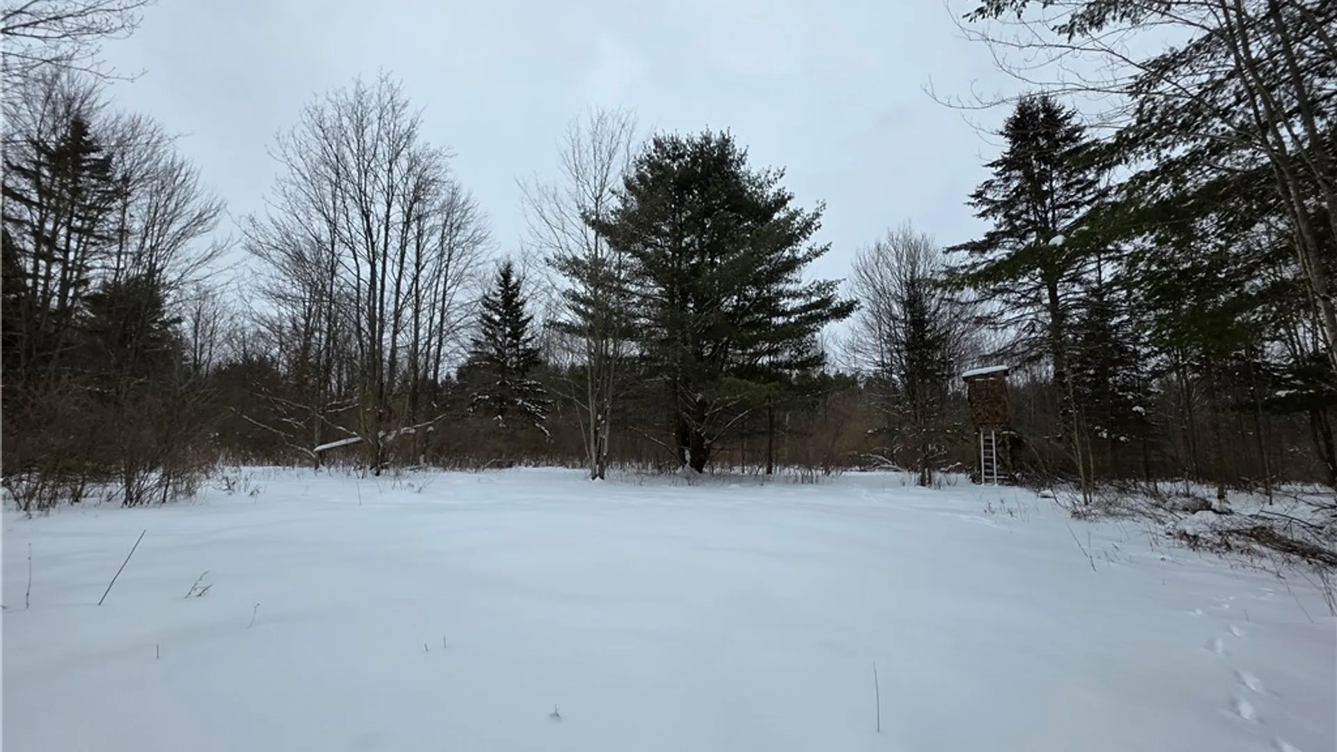 Property at 8486 Saunders Road, Caneadea, NY 14711 41
