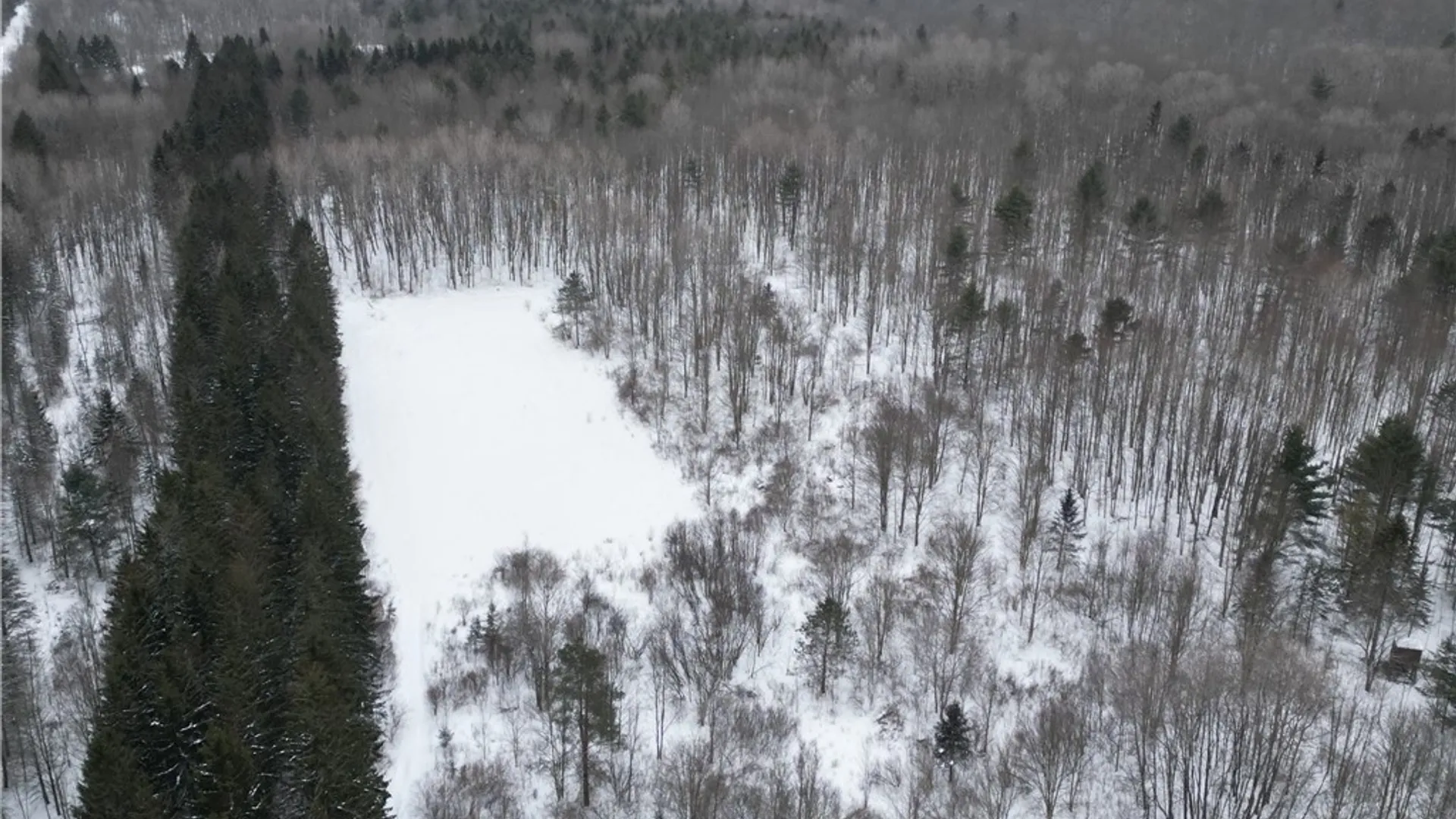 Property at 8486 Saunders Road, Caneadea, NY 14711 43